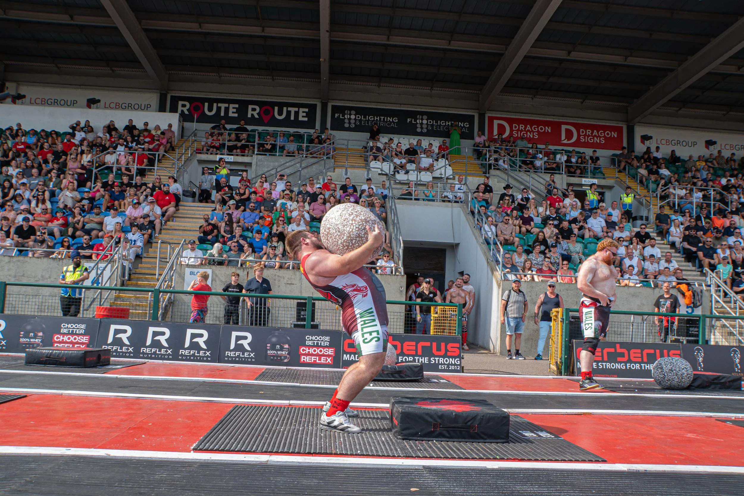 WSM-81.jpg