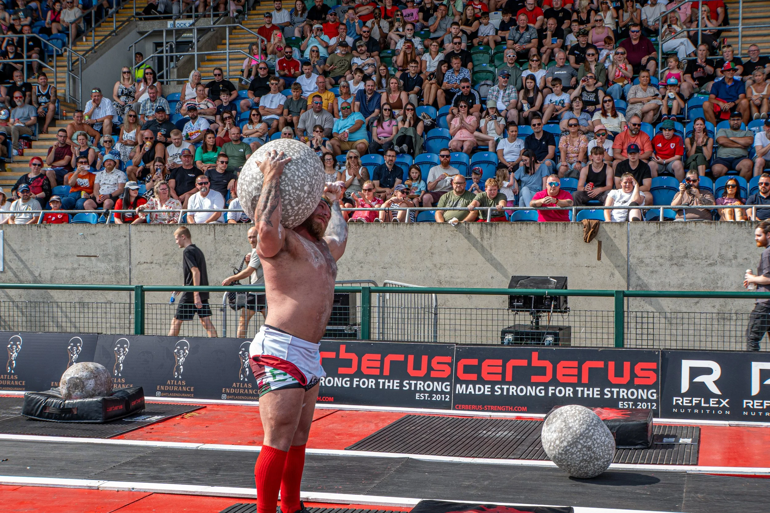 WSM-118.jpg
