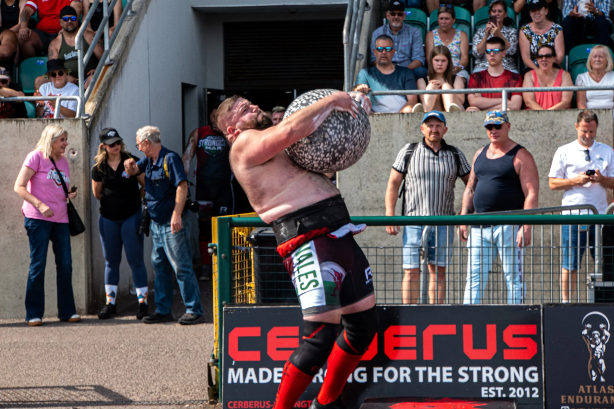 WSM-71.jpg