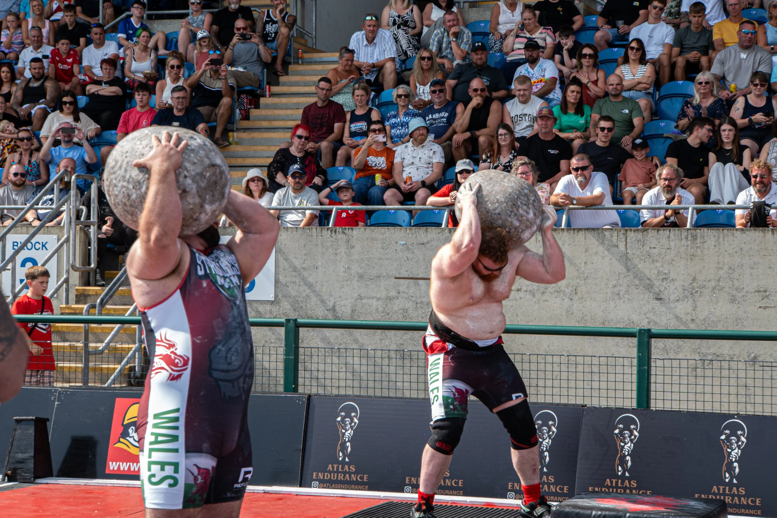 WSM-107.jpg