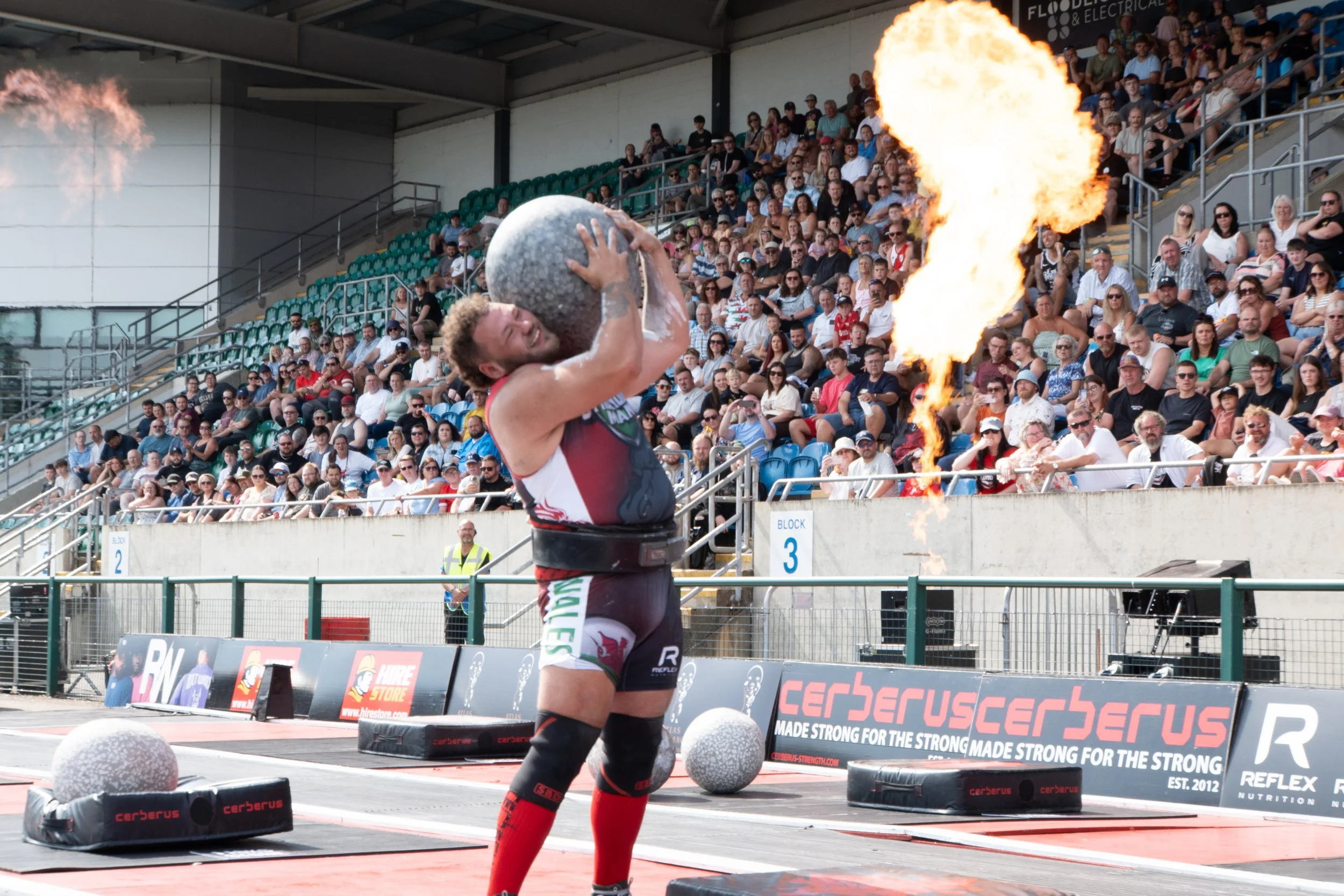 WSM-113.jpg