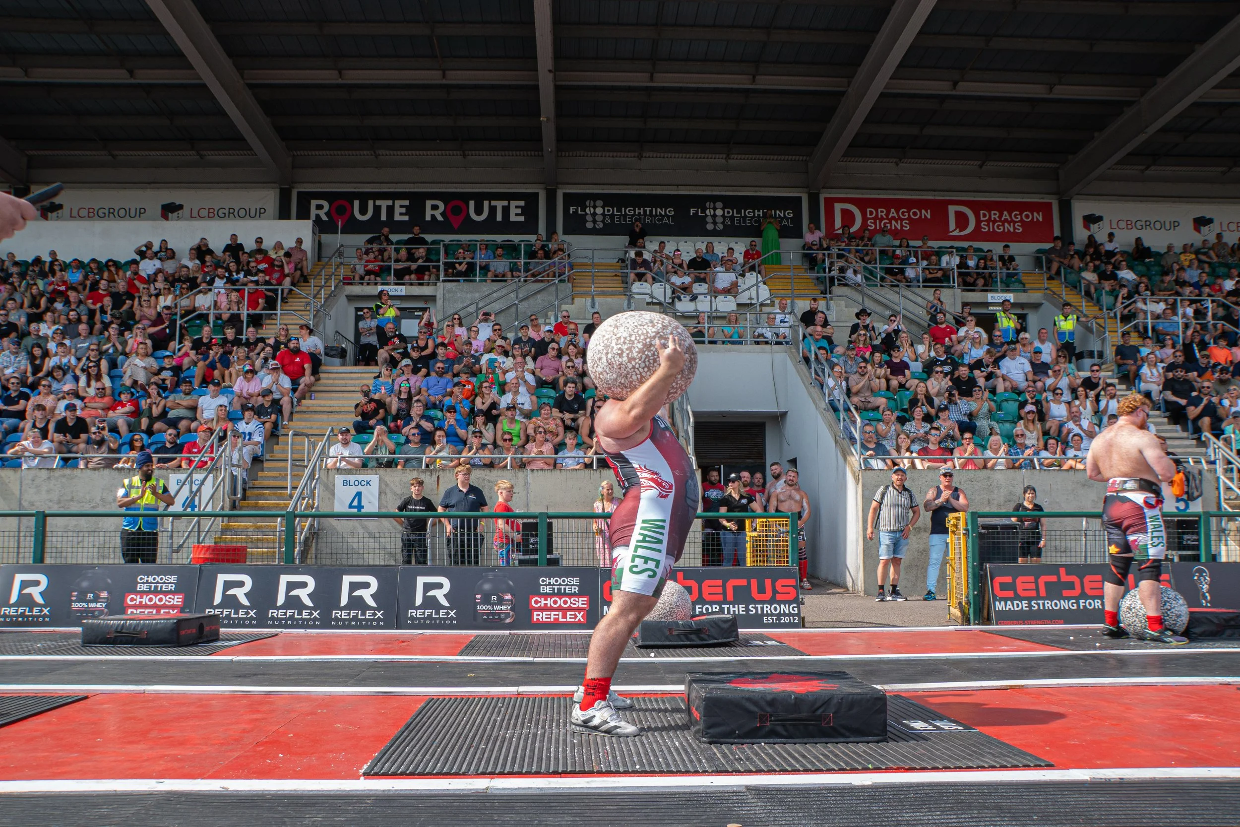 WSM-80.jpg