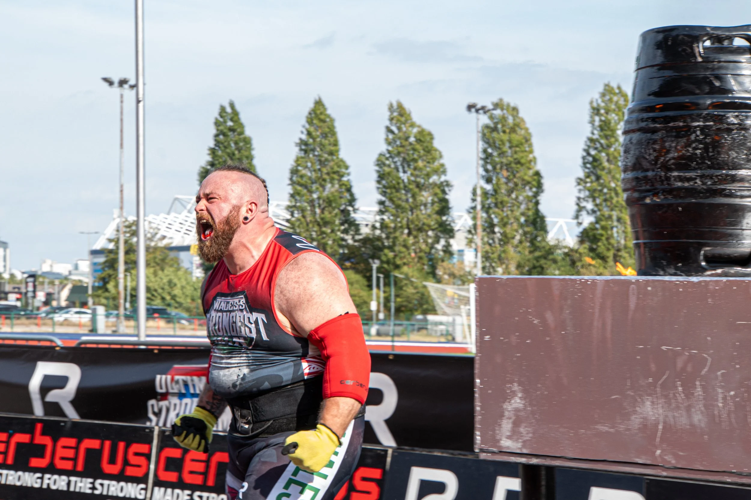 WSM-138.jpg