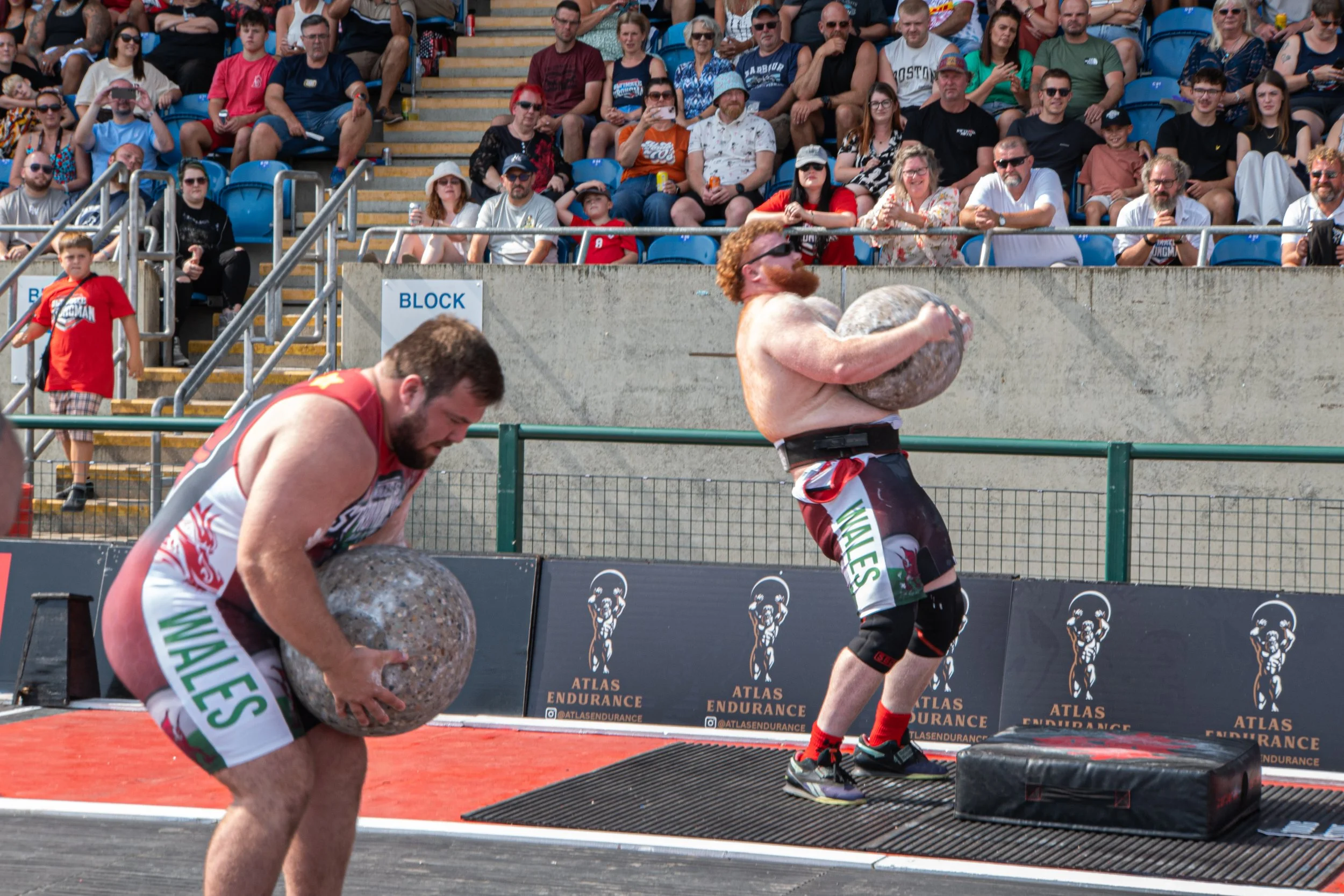 WSM-108.jpg