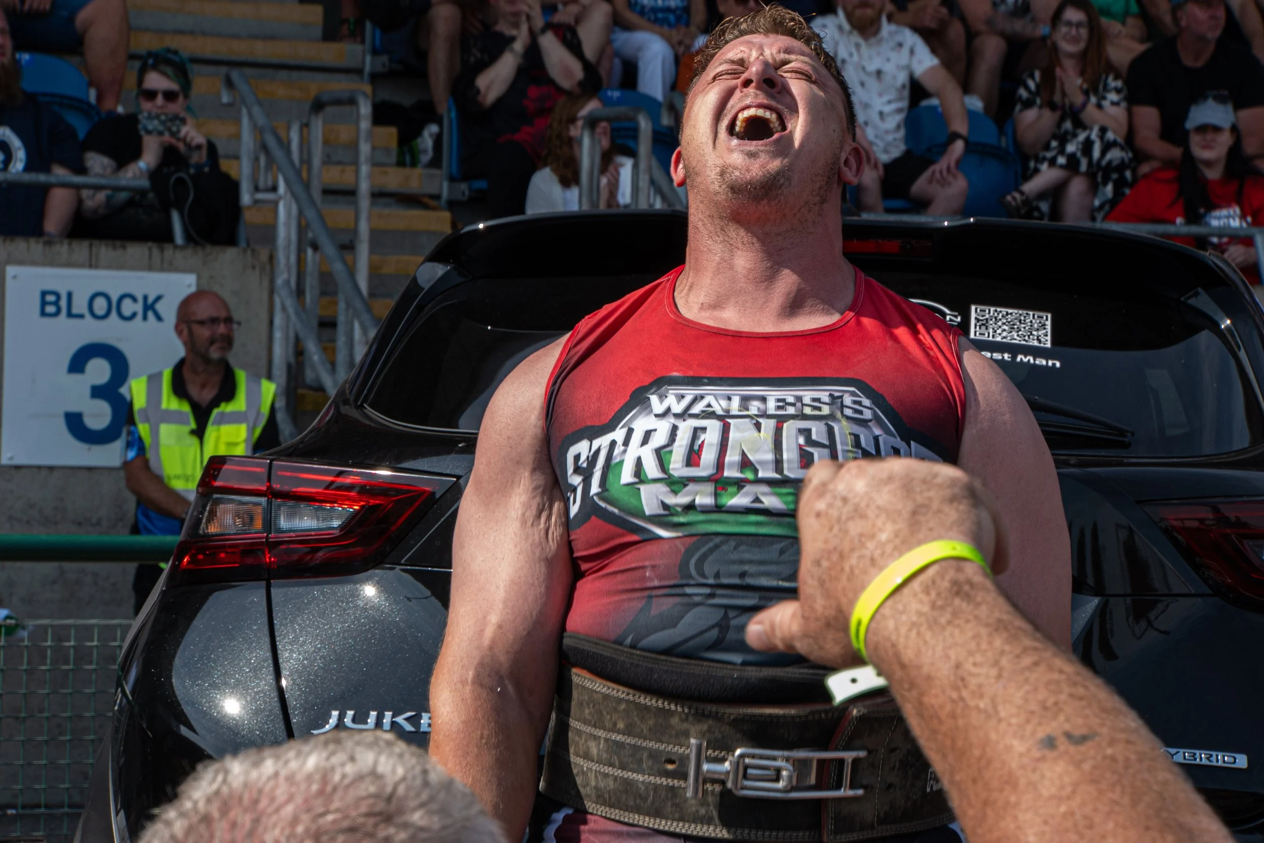 WSM-151.jpg
