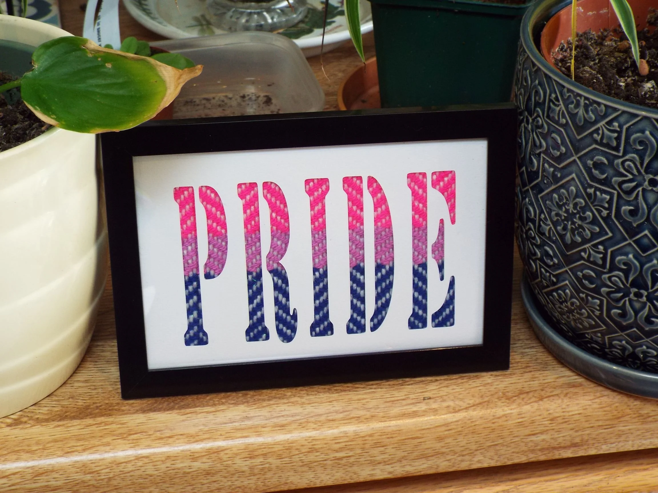 Pride - Bi - 1 - 6x4.JPG