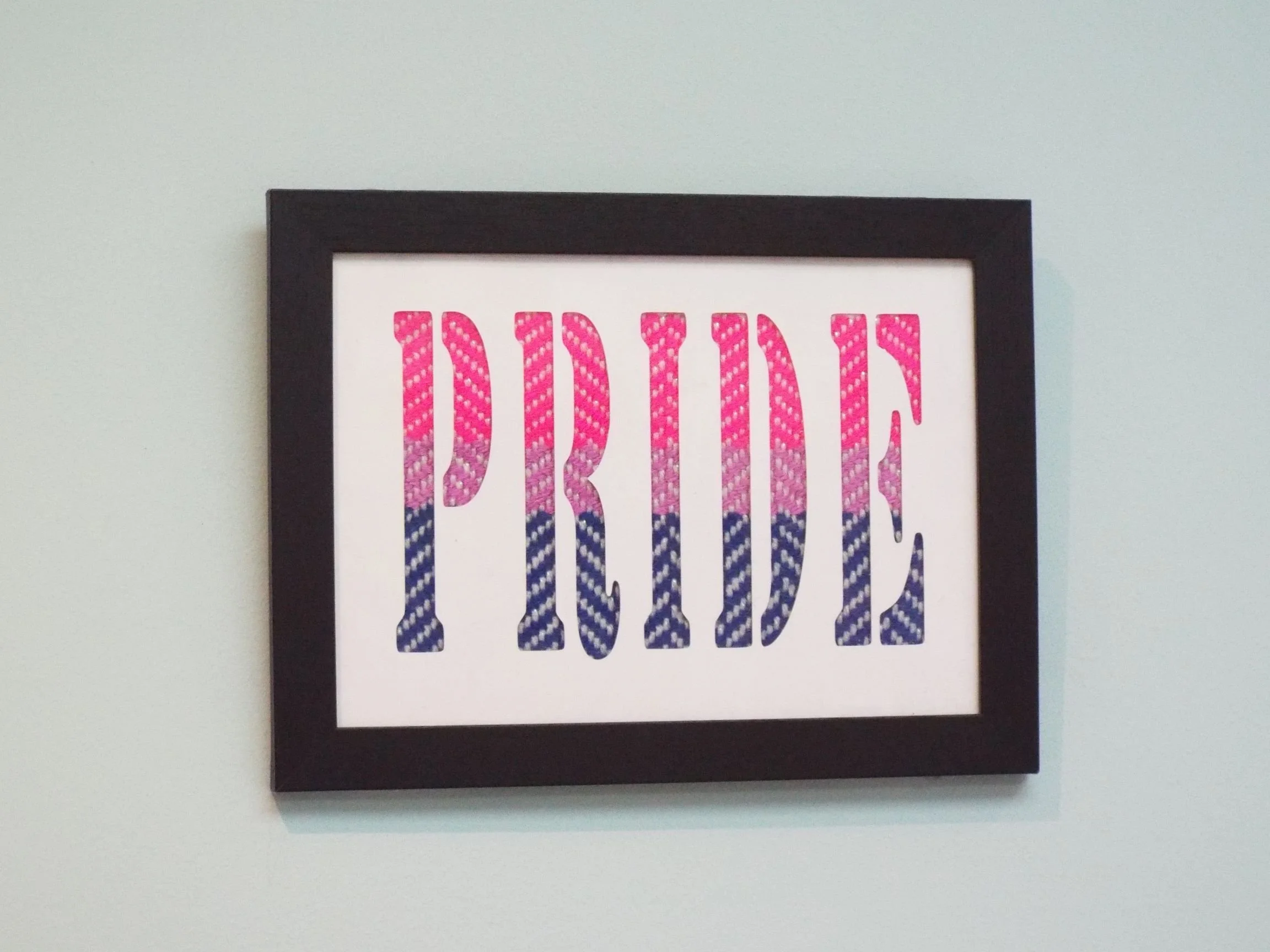 Pride - bi - 2 - 6x7.JPG