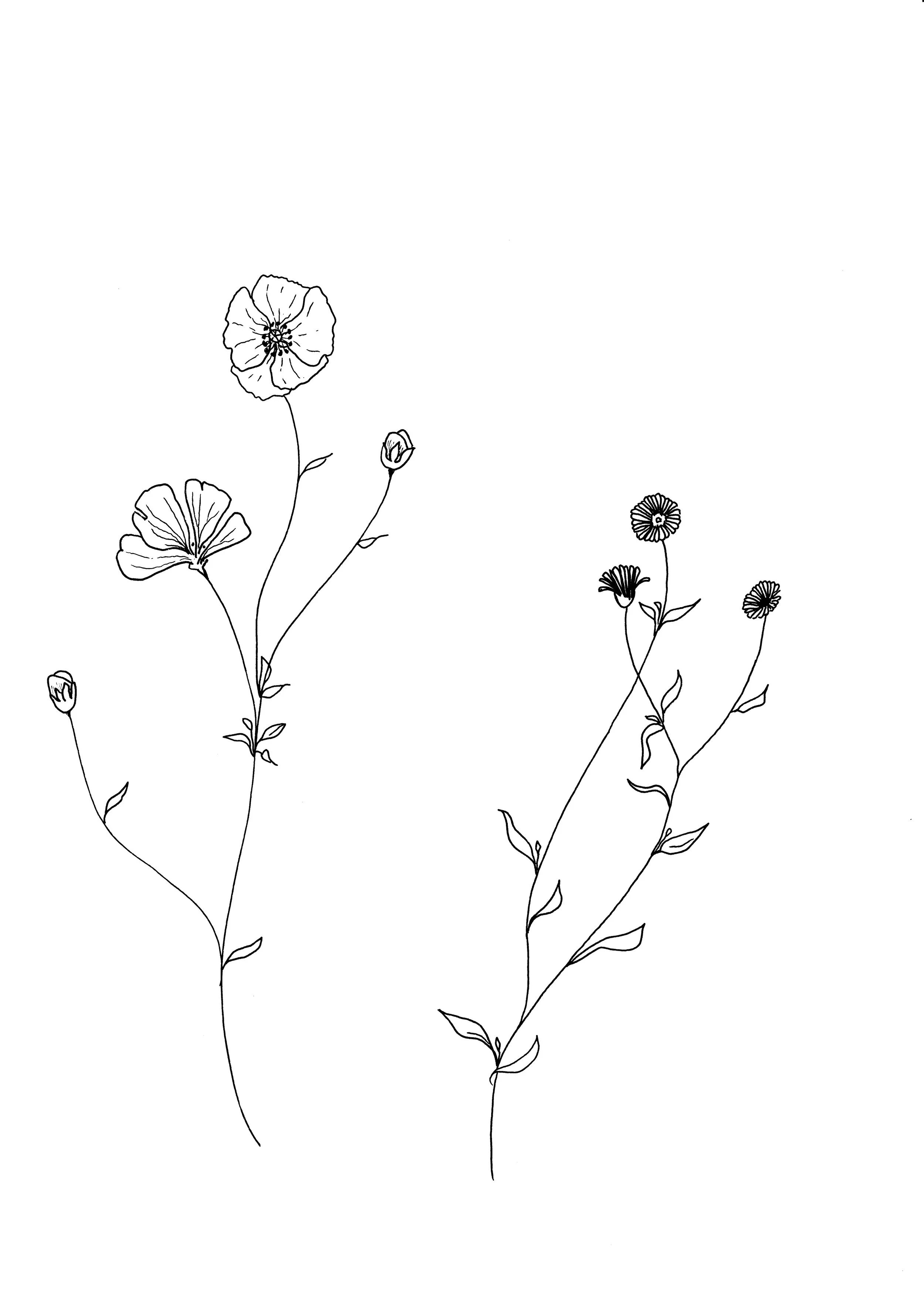 A sketch for vectorising