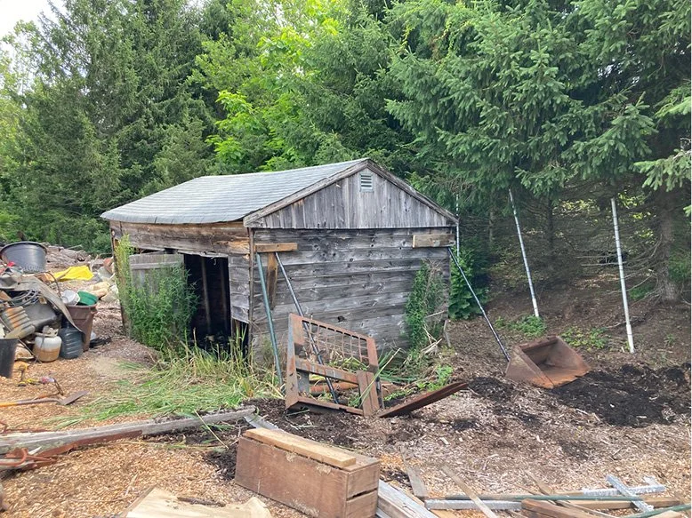 shed 3.jpg