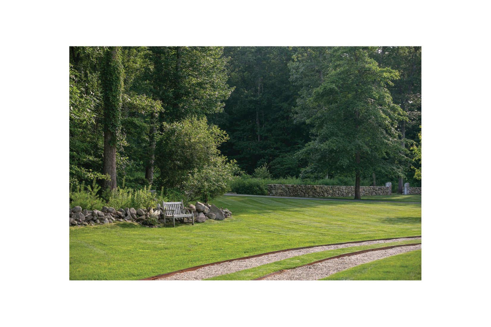 summerfield image4.jpg