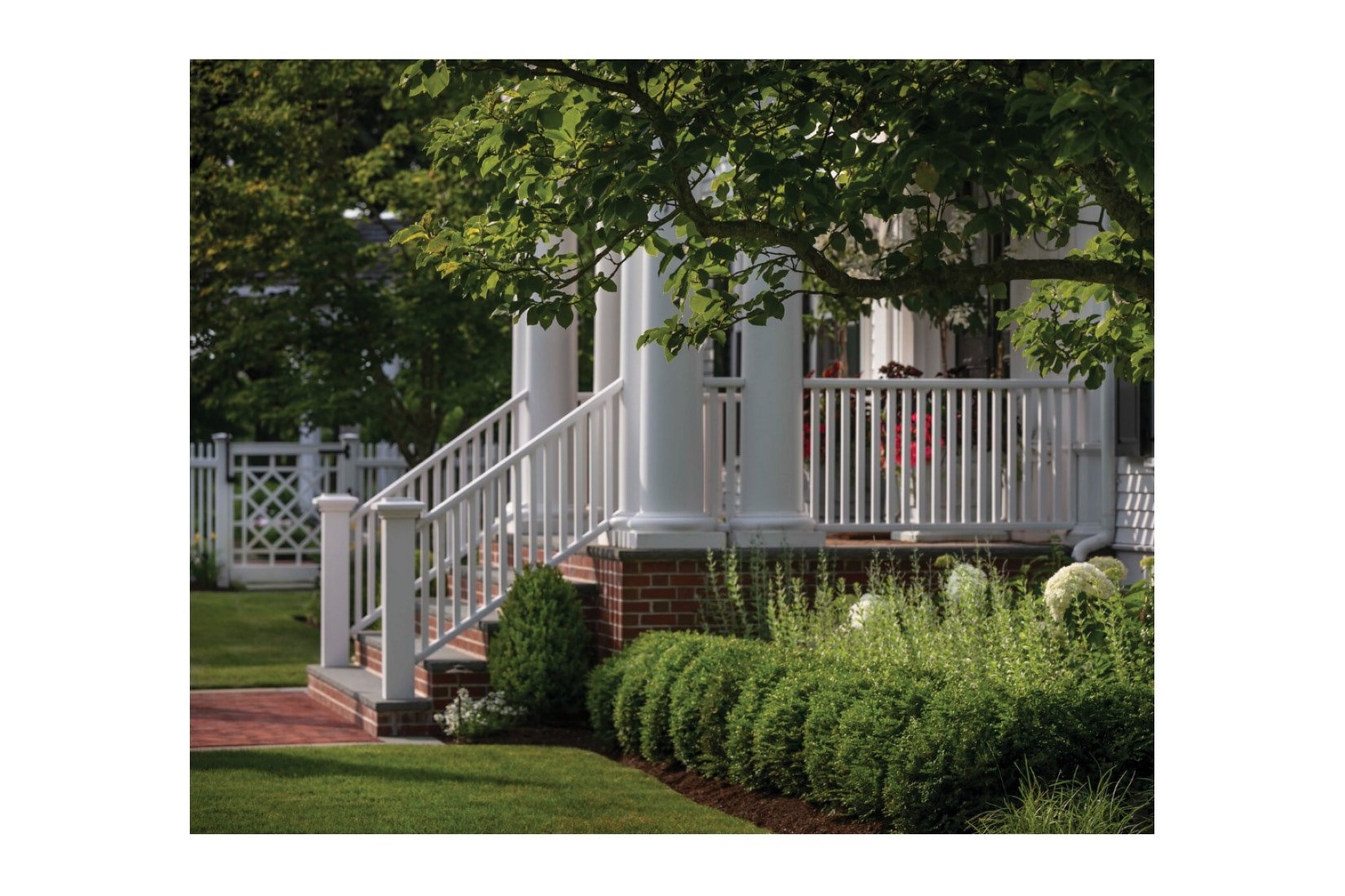 summerfield image14.jpg
