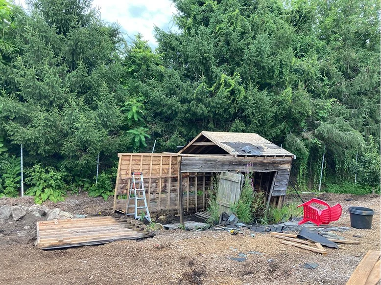 shed 5.jpg