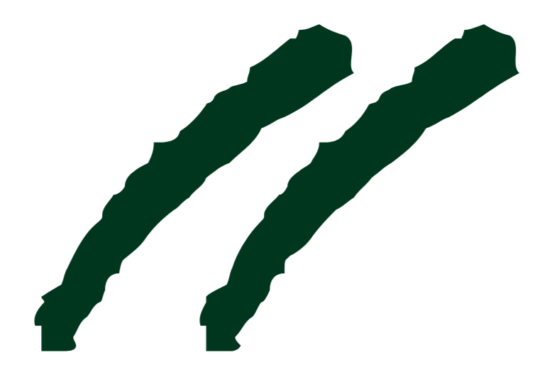 Illustration of two green cactus plants with long, curved arms.