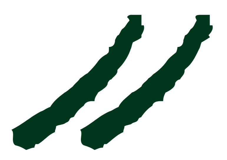 Two green claw marks on a black background.