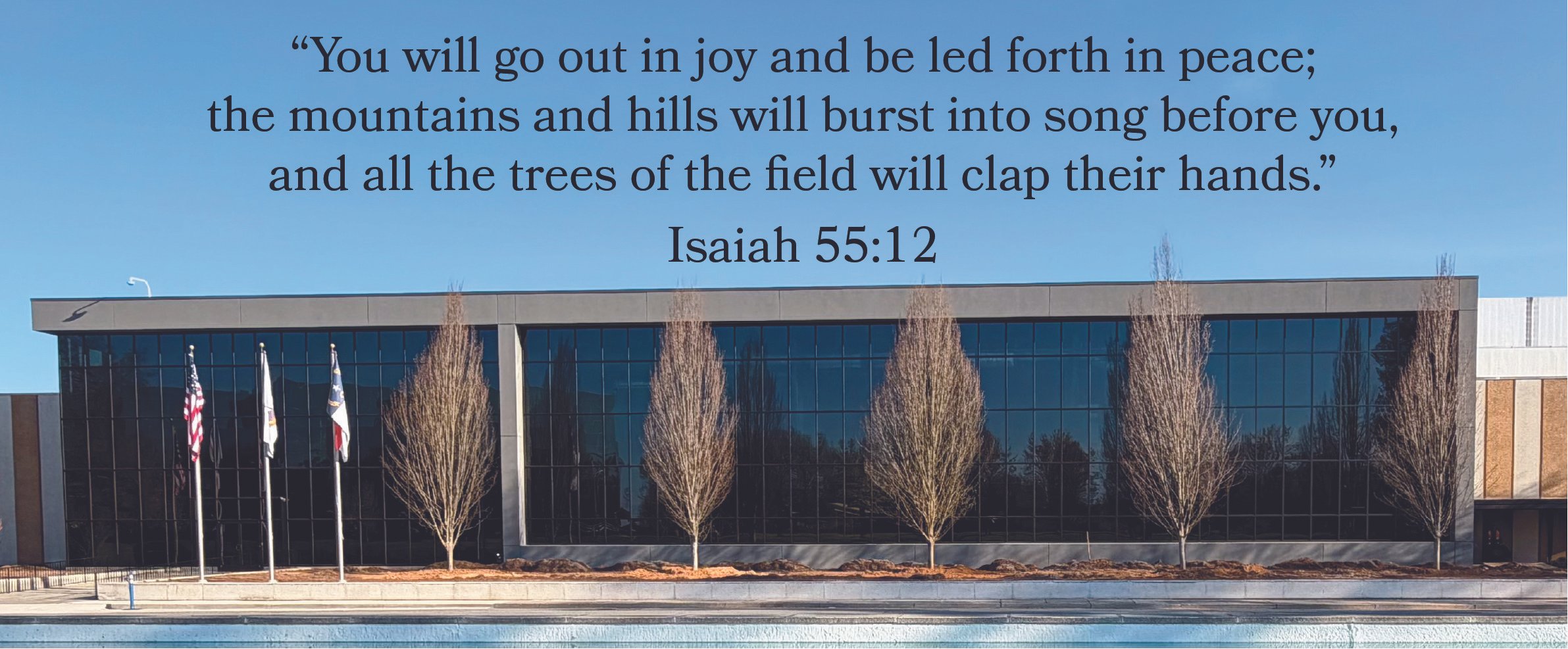 Purple Crow is Planting Roots