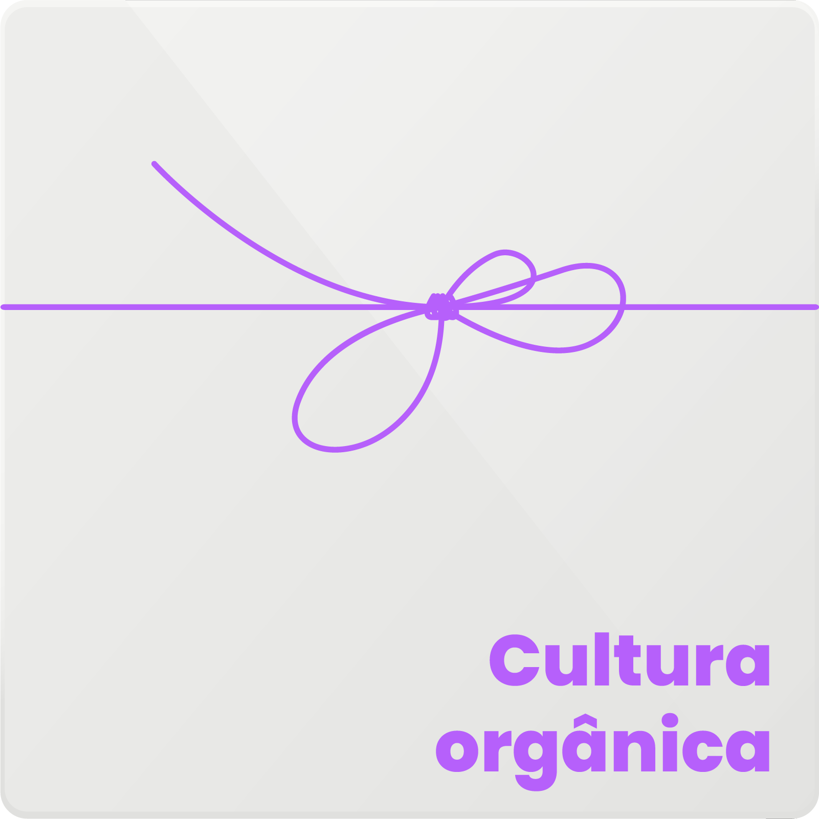 Ativo 15@2x.png