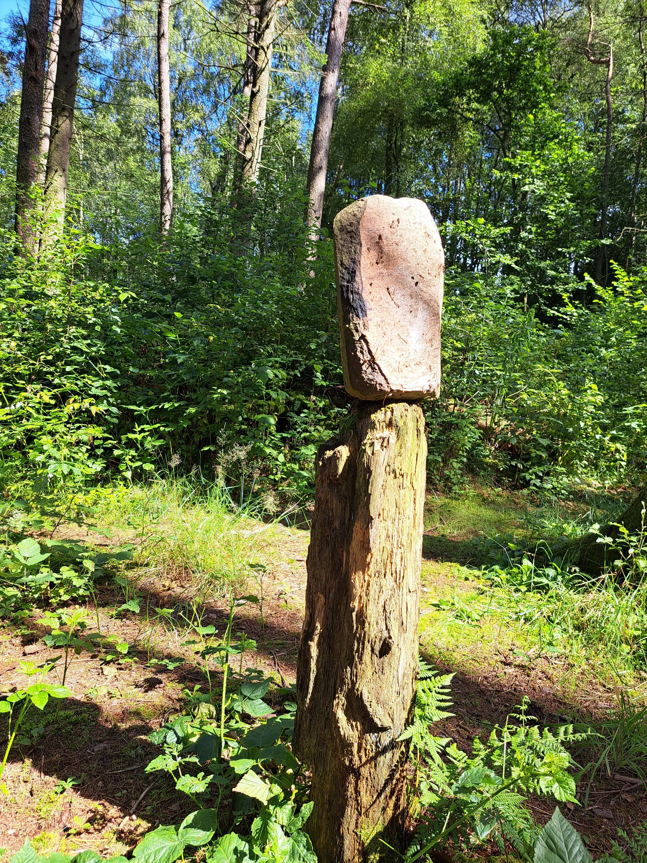 Balanse, 01.08.2023, tre og stein, Eskelandsskogen - Stavanger