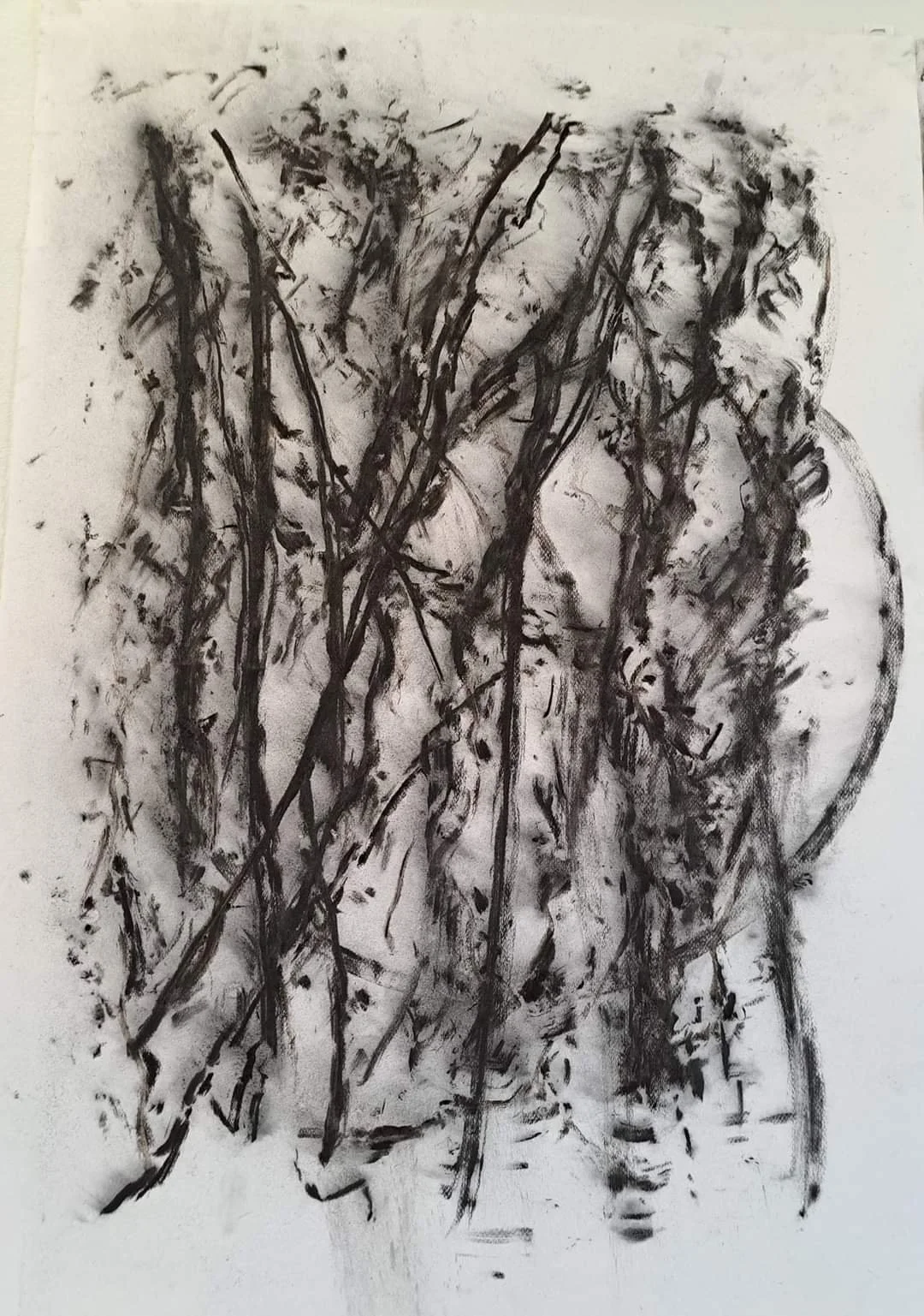 Skog 2023/I, kull på papir, 100x70 cm