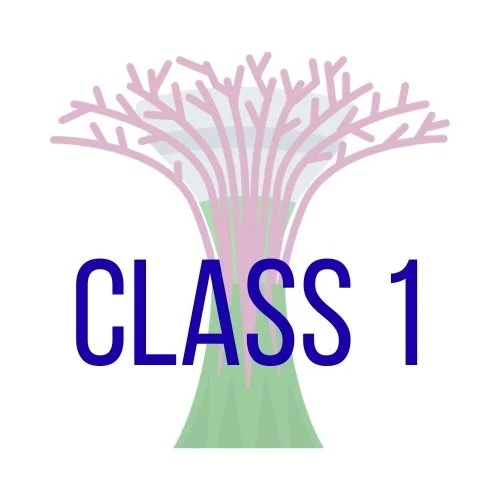 Circle Sing Intro 1