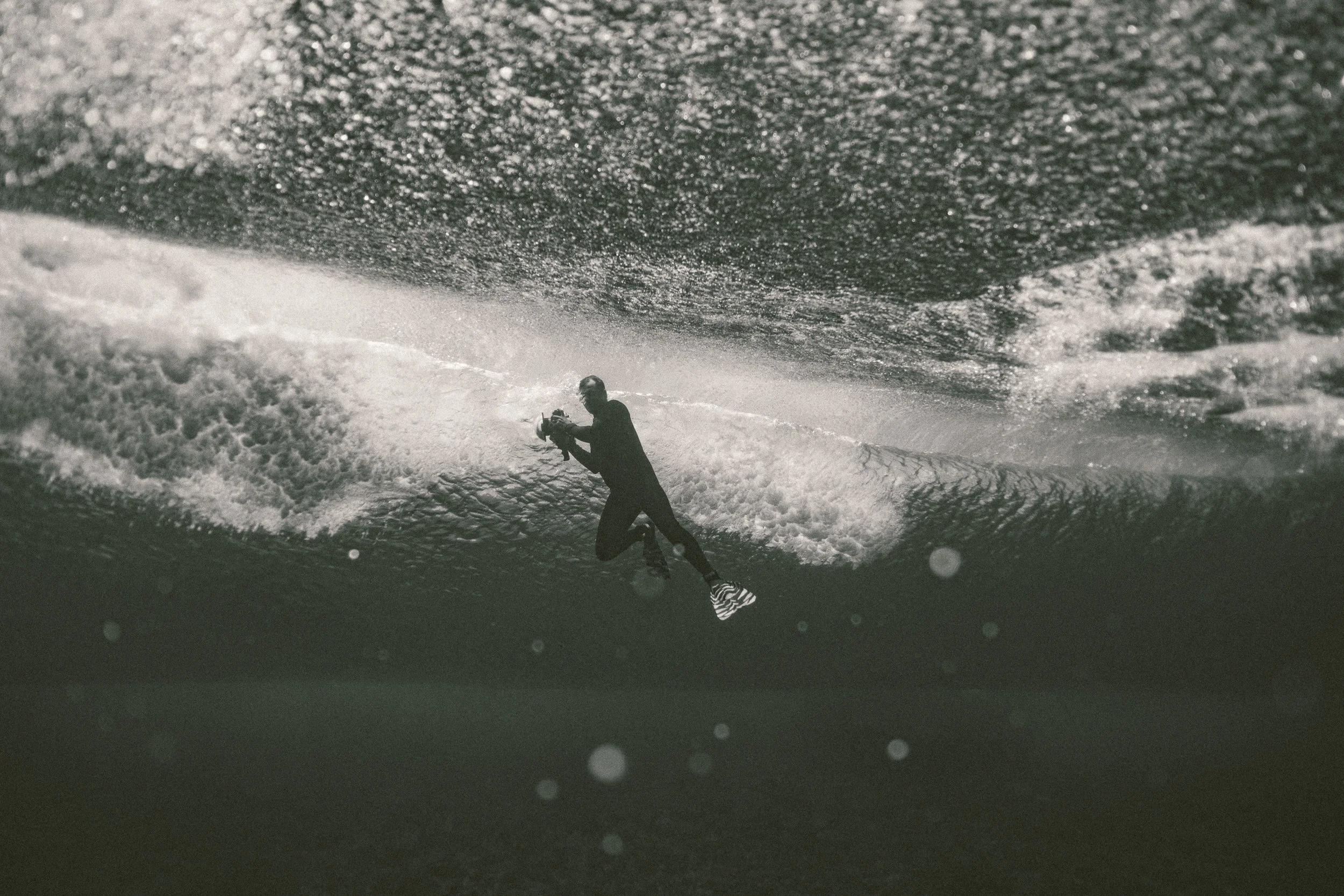 SHARK EYES-RYAN CHATFIELD-E_106272.jpg