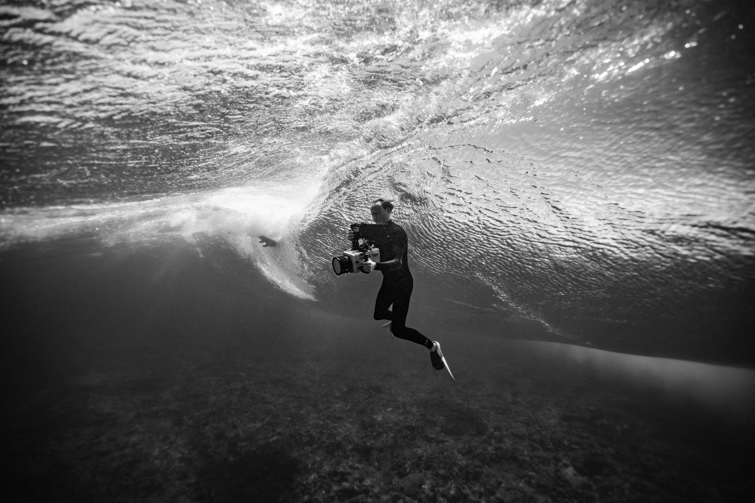 SHARK EYES-RYAN CHATFIELD-E_106324-2.jpg