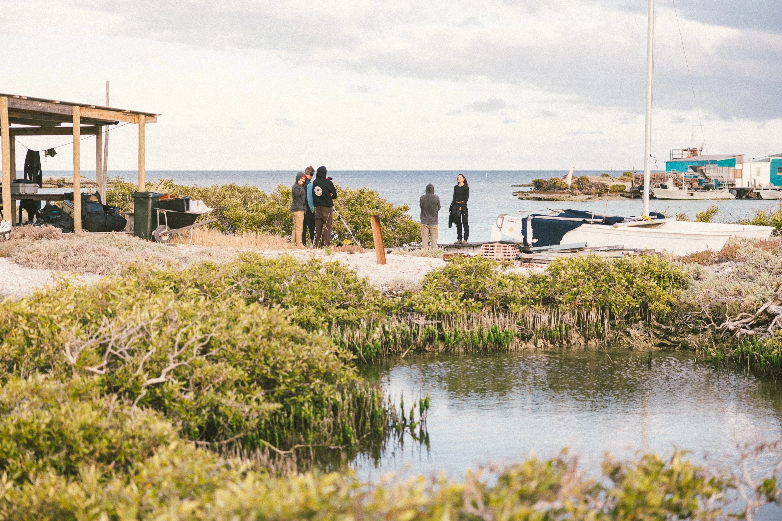 SHARK EYES-RYAN CHATFIELD-COM_5576.jpg