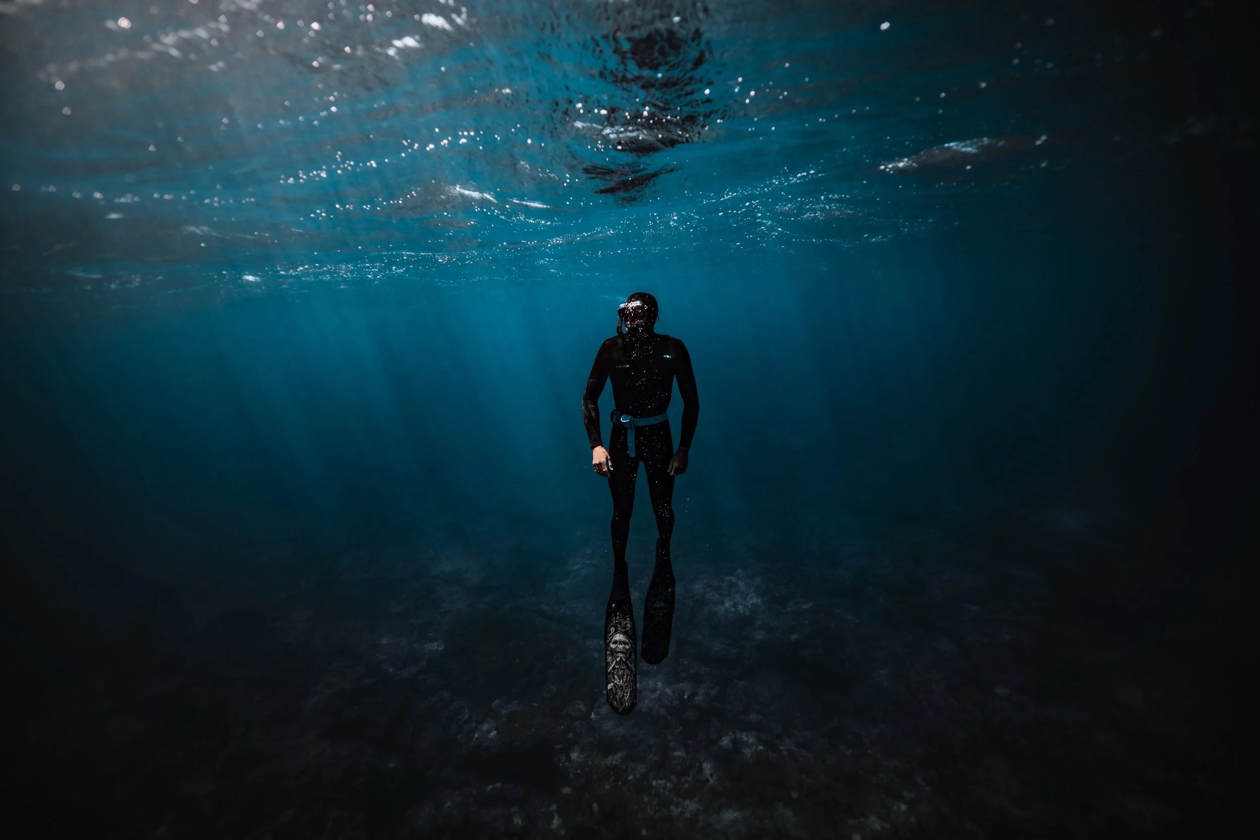 SHARK EYES-RYAN CHATFIELD-E_106480.jpg