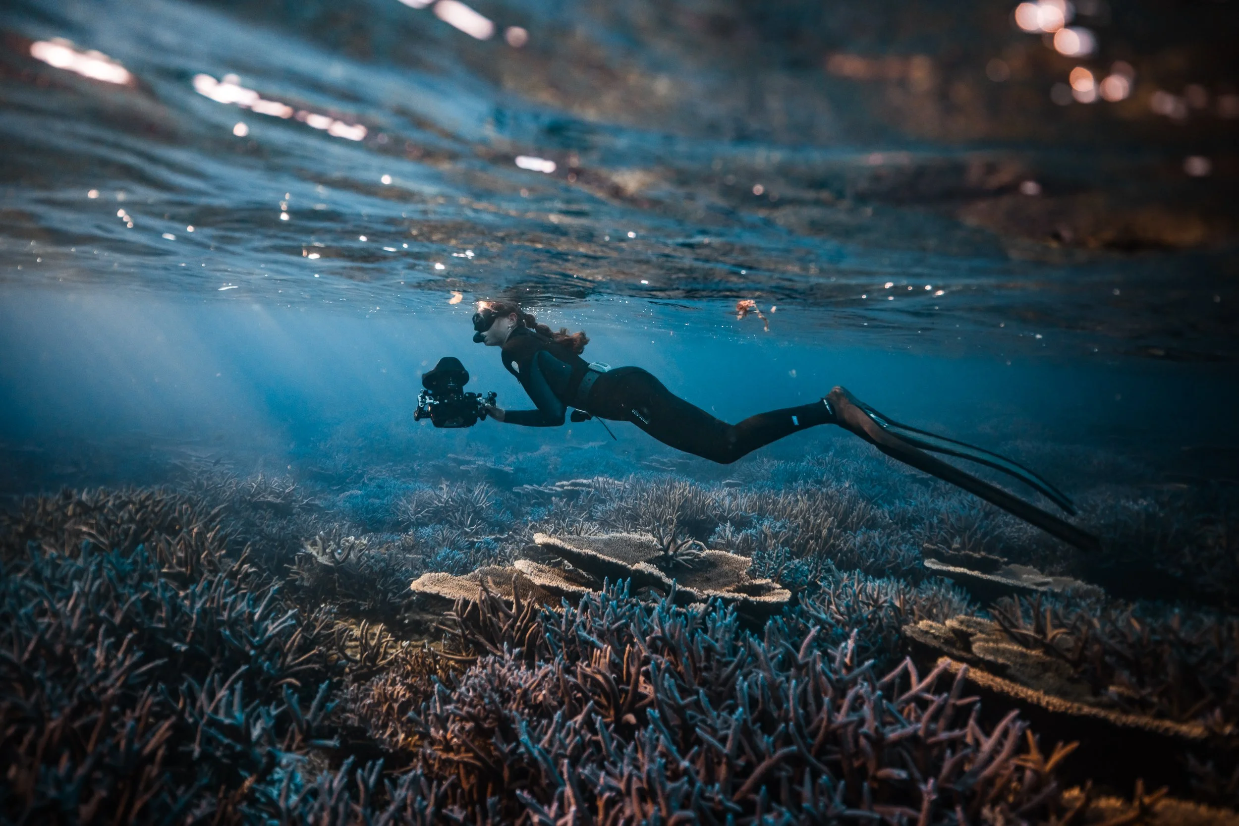 SHARK EYES-RYAN CHATFIELD-E_105817.jpg