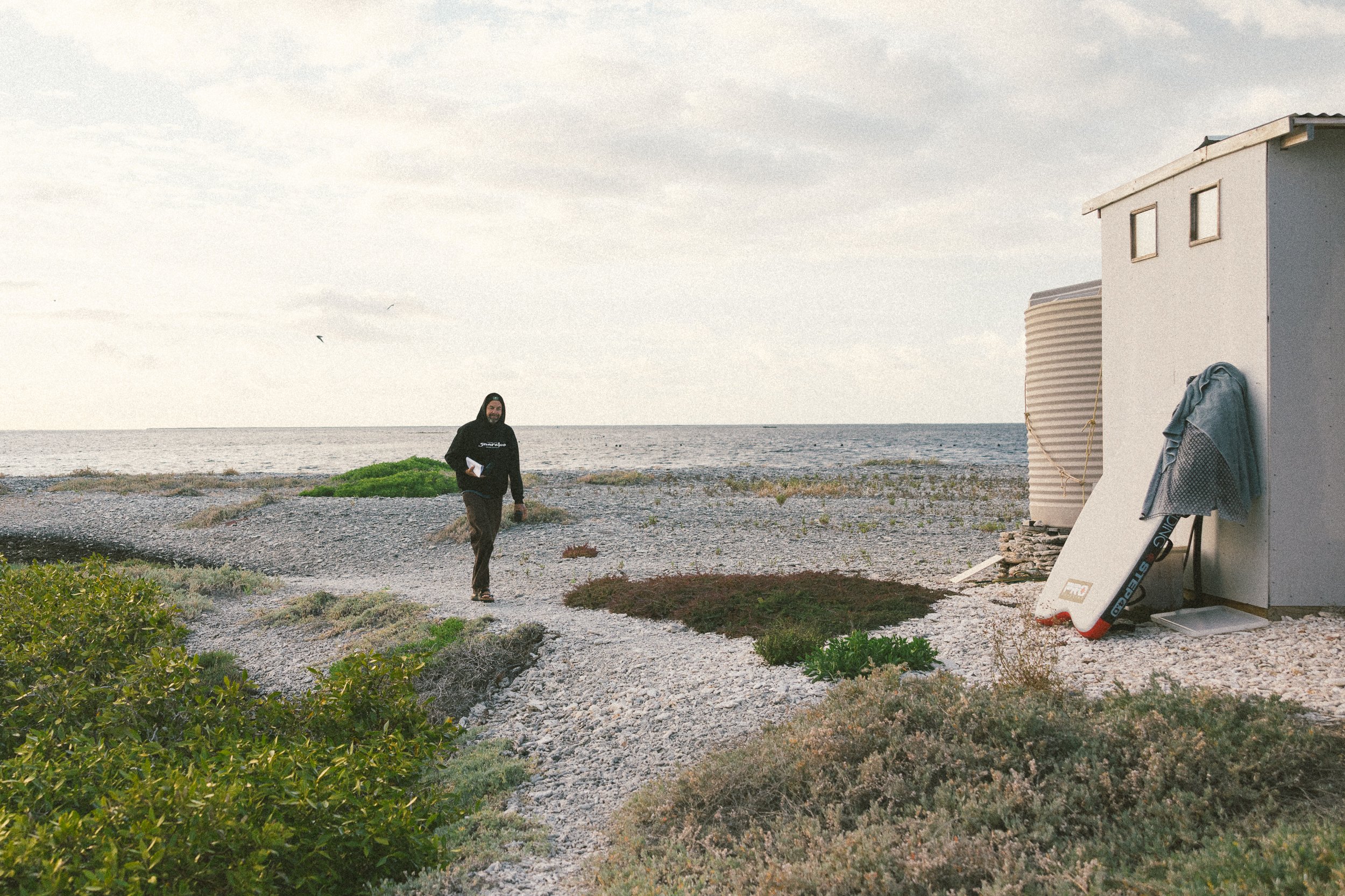 SHARK EYES-RYAN CHATFIELD-COM_5561.jpg