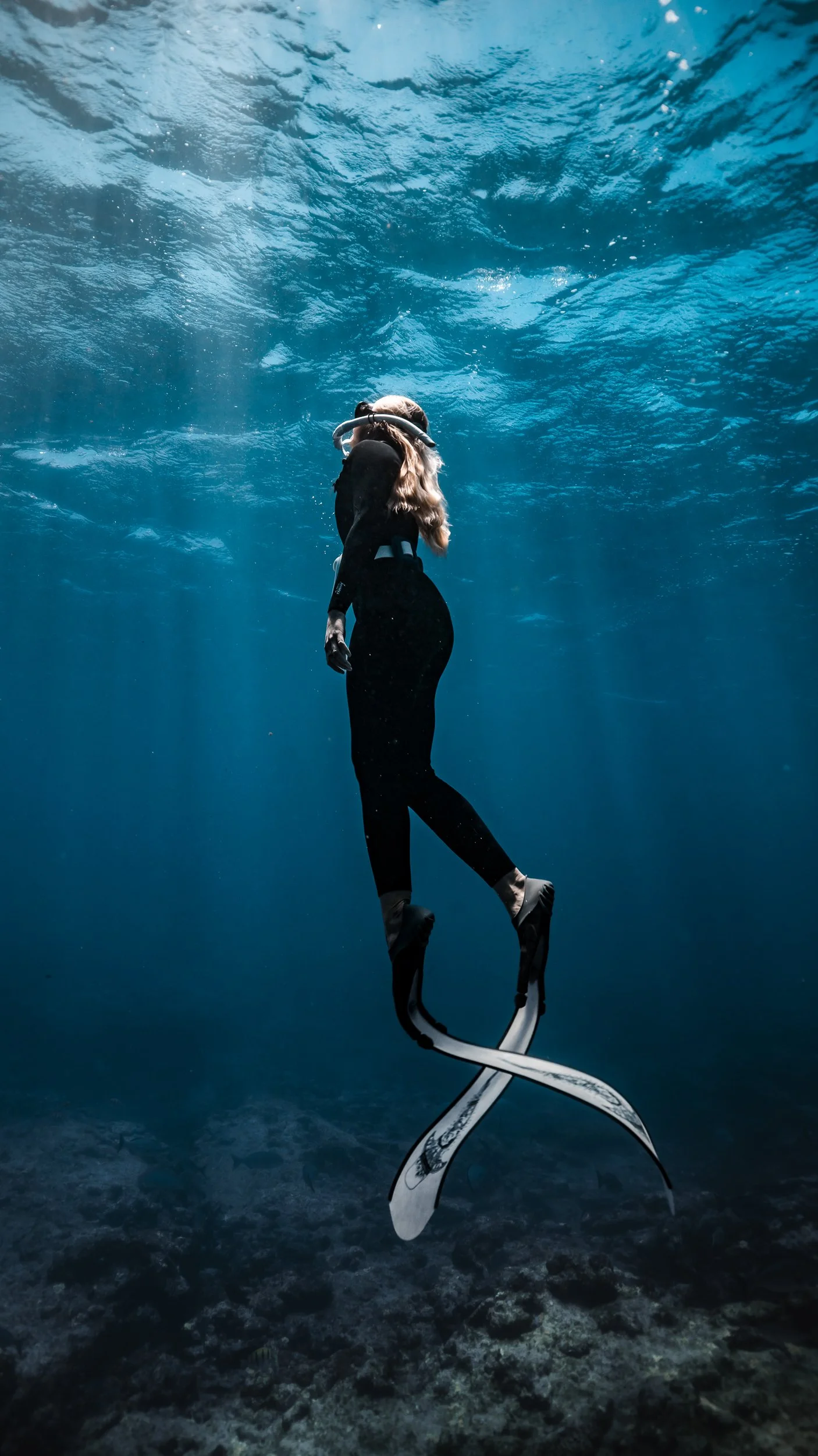 SHARK EYES-RYAN CHATFIELD-E_106537.jpg