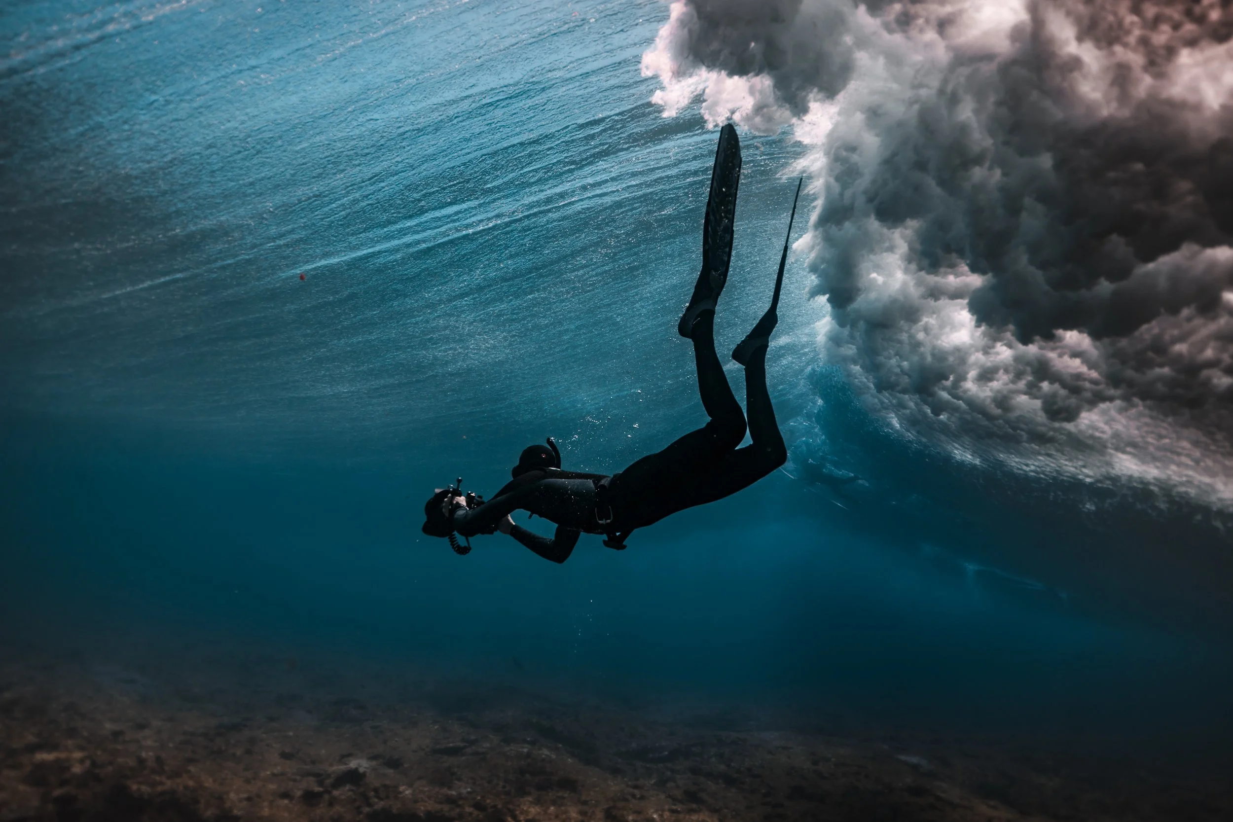 SHARK EYES-RYAN CHATFIELD-E_106383.jpg