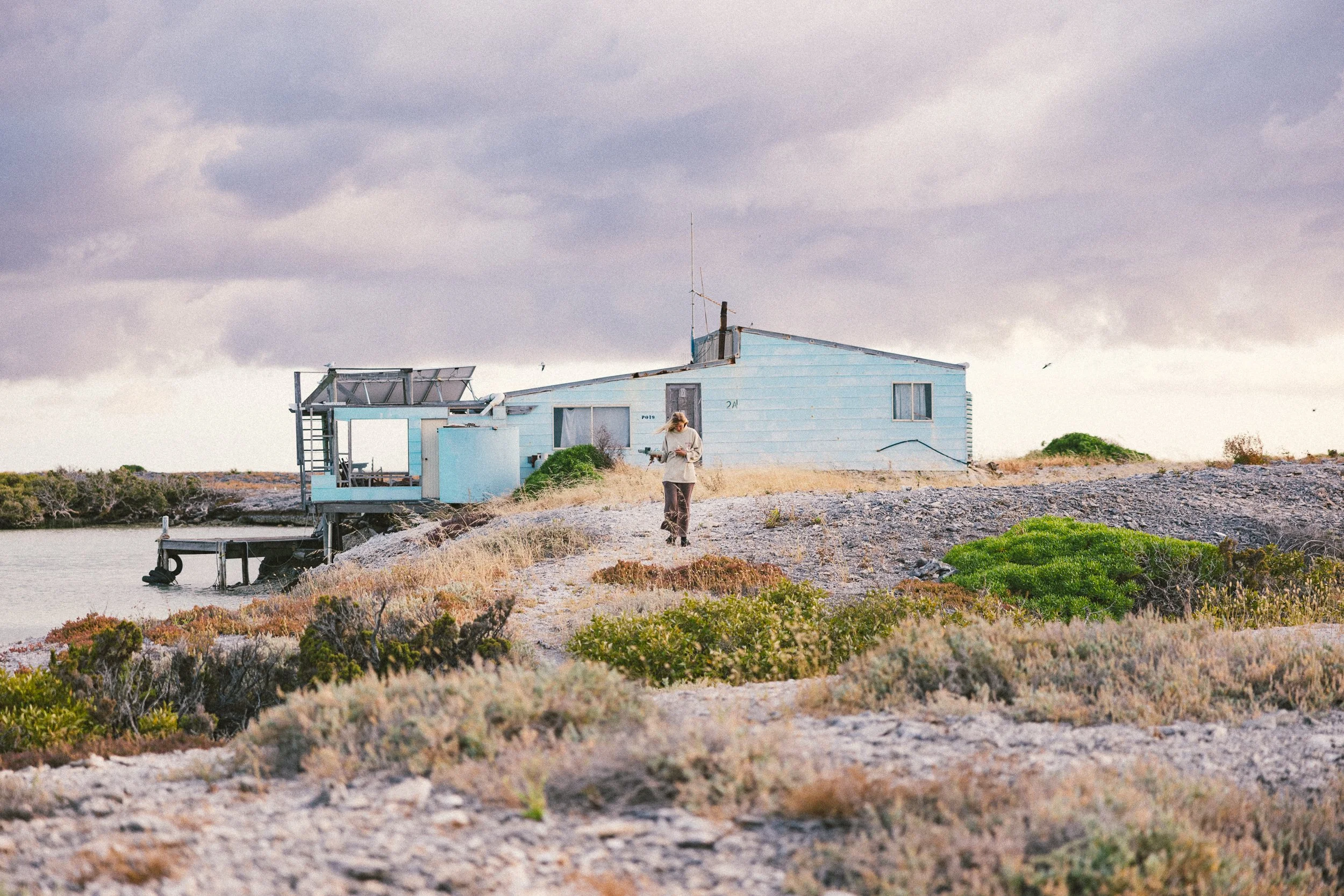 SHARK EYES-RYAN CHATFIELD-COM_5567.jpg
