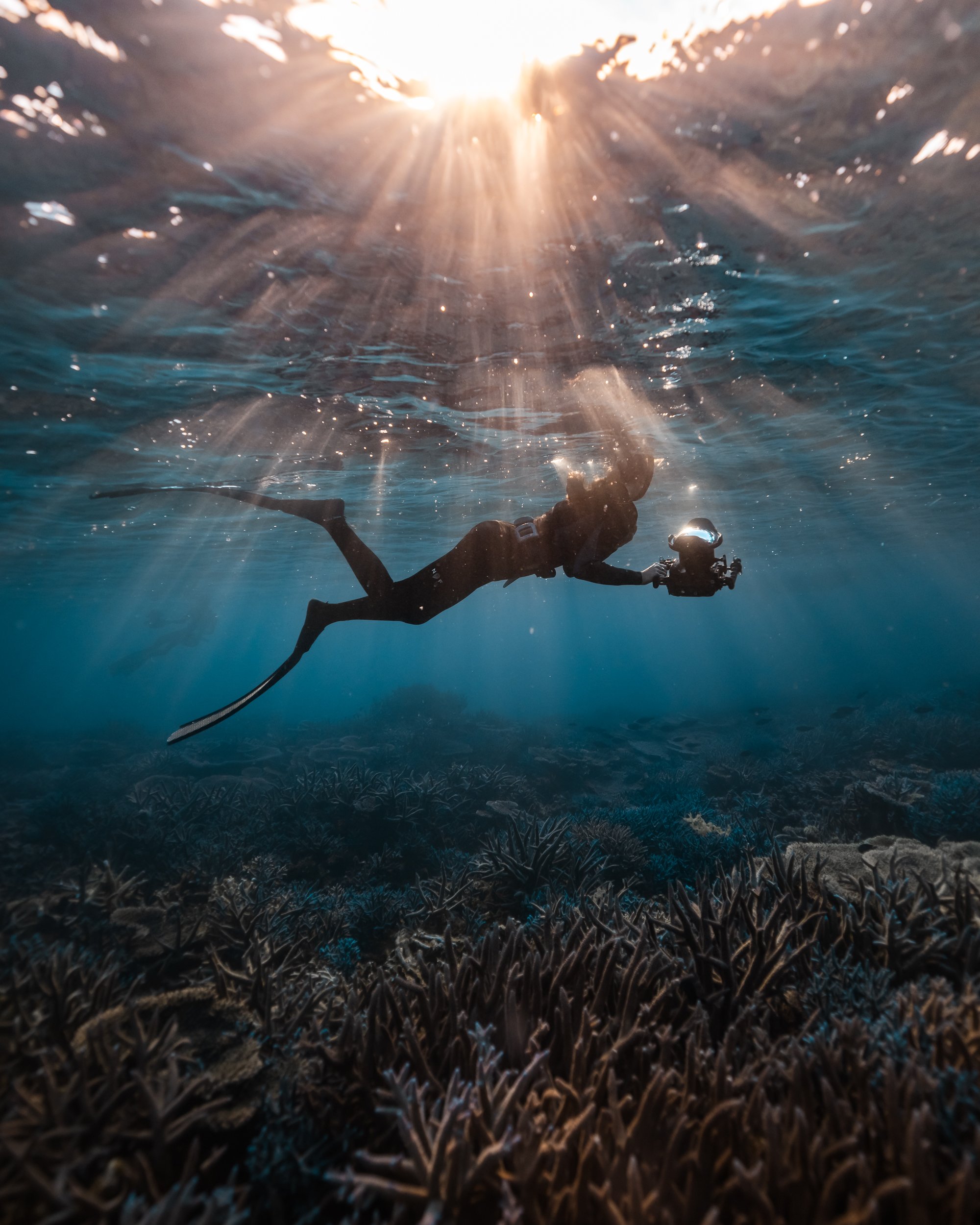 SHARK EYES-RYAN CHATFIELD-E_105825.jpg