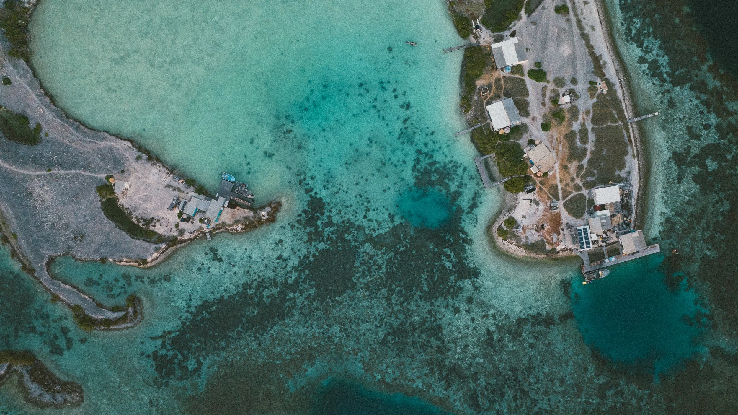 SHARK EYES-RYAN CHATFIELD-DJI_20251027183942_0121_D.jpg