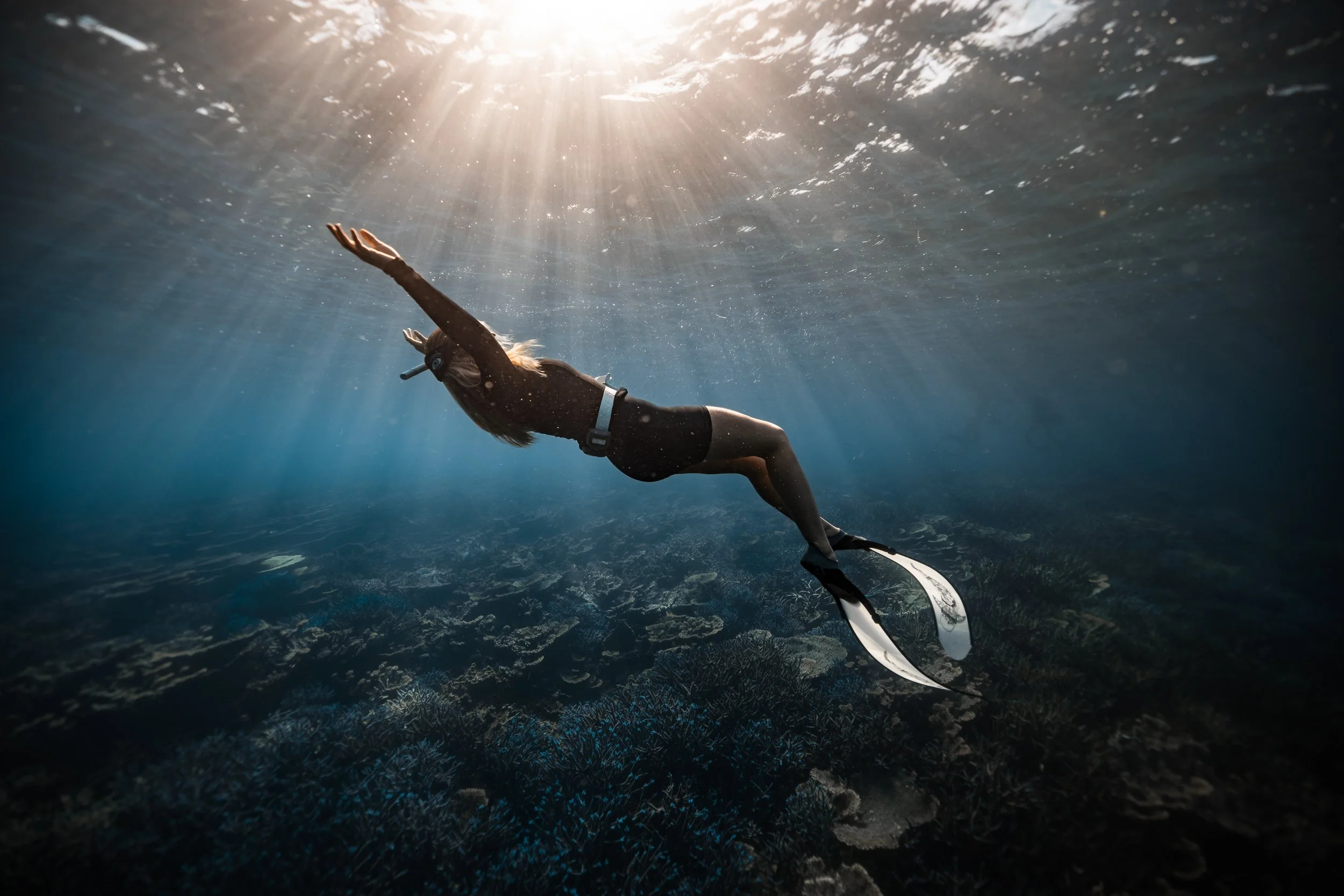 SHARK EYES-RYAN CHATFIELD-E_106745.jpg