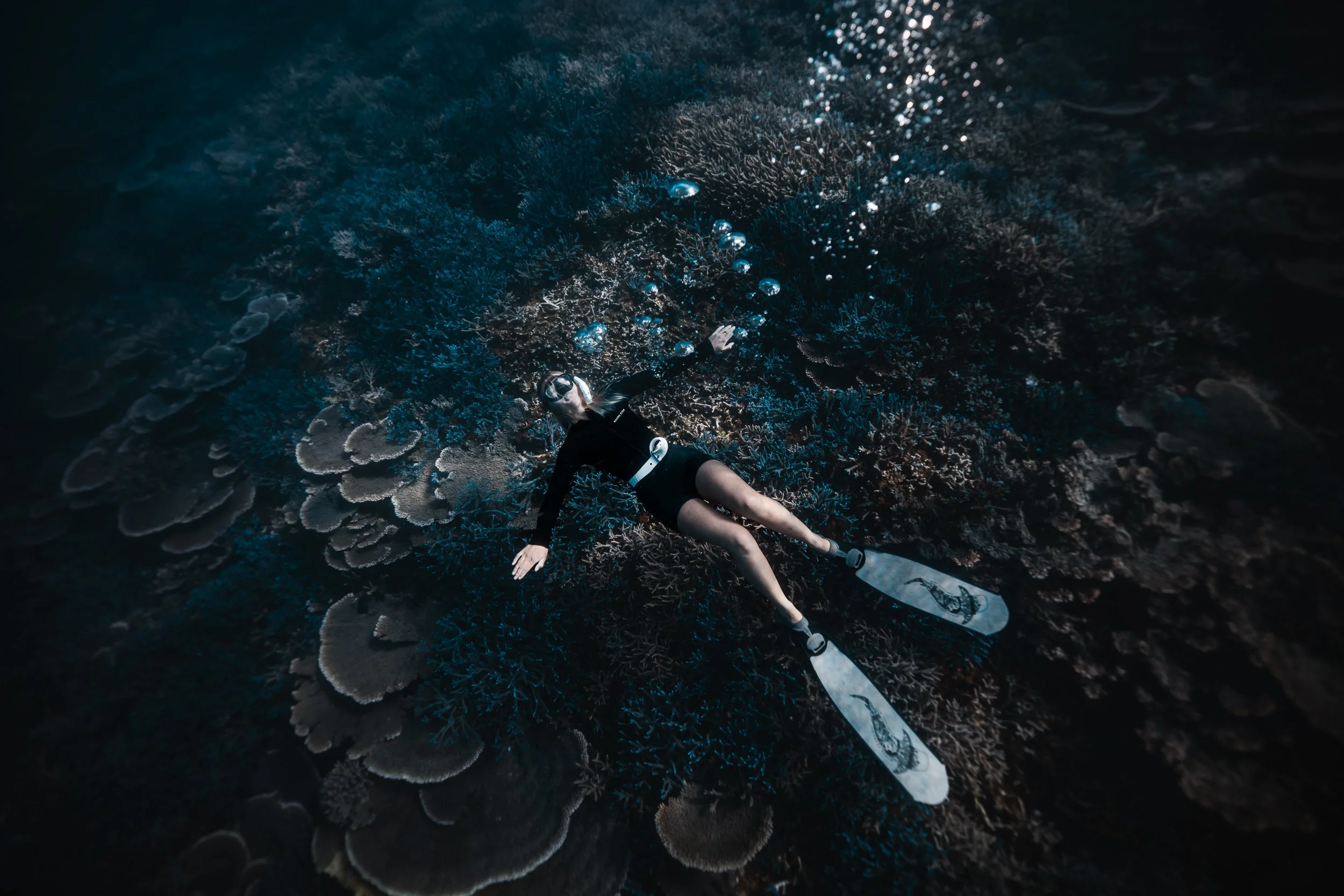 SHARK EYES-RYAN CHATFIELD-E_106710.jpg