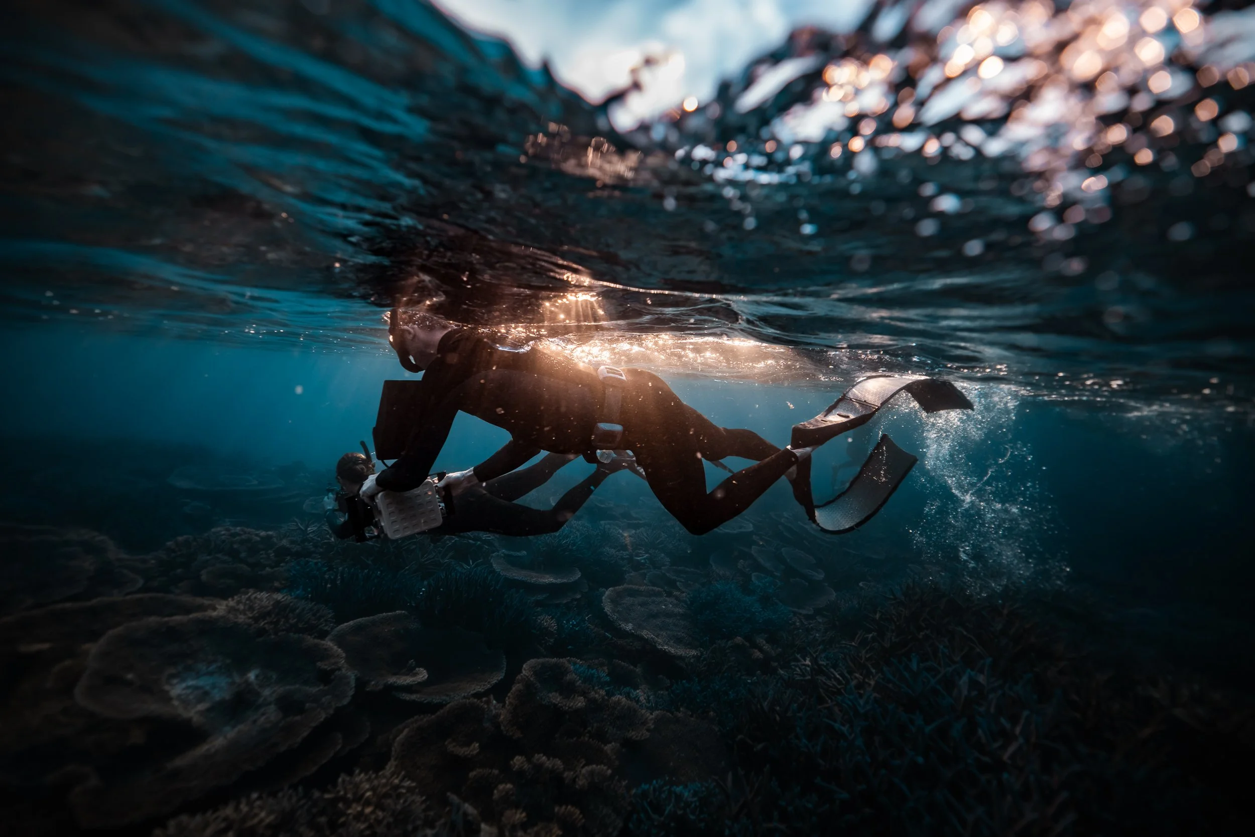 SHARK EYES-RYAN CHATFIELD-E_105828.jpg