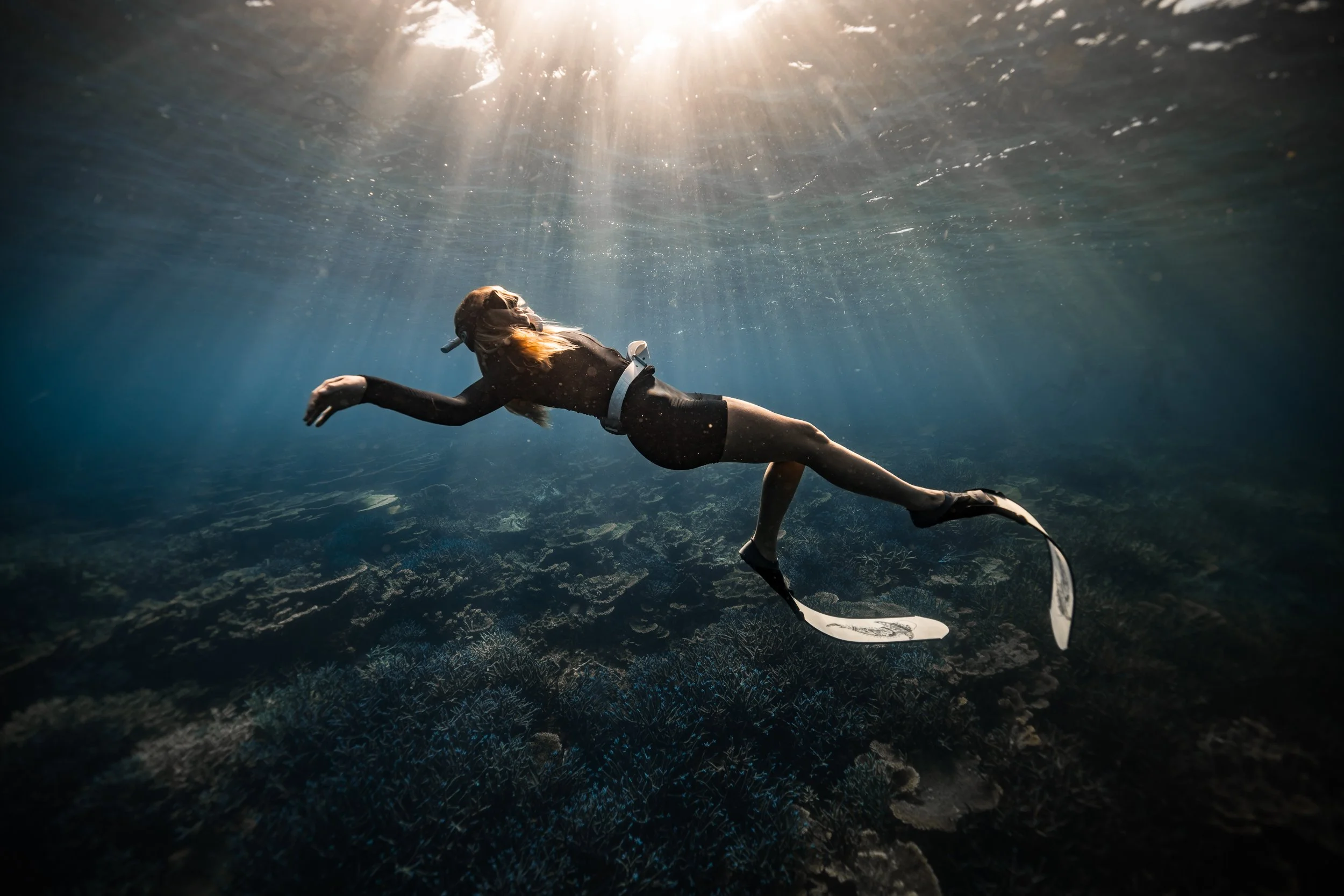 SHARK EYES-RYAN CHATFIELD-E_106747.jpg