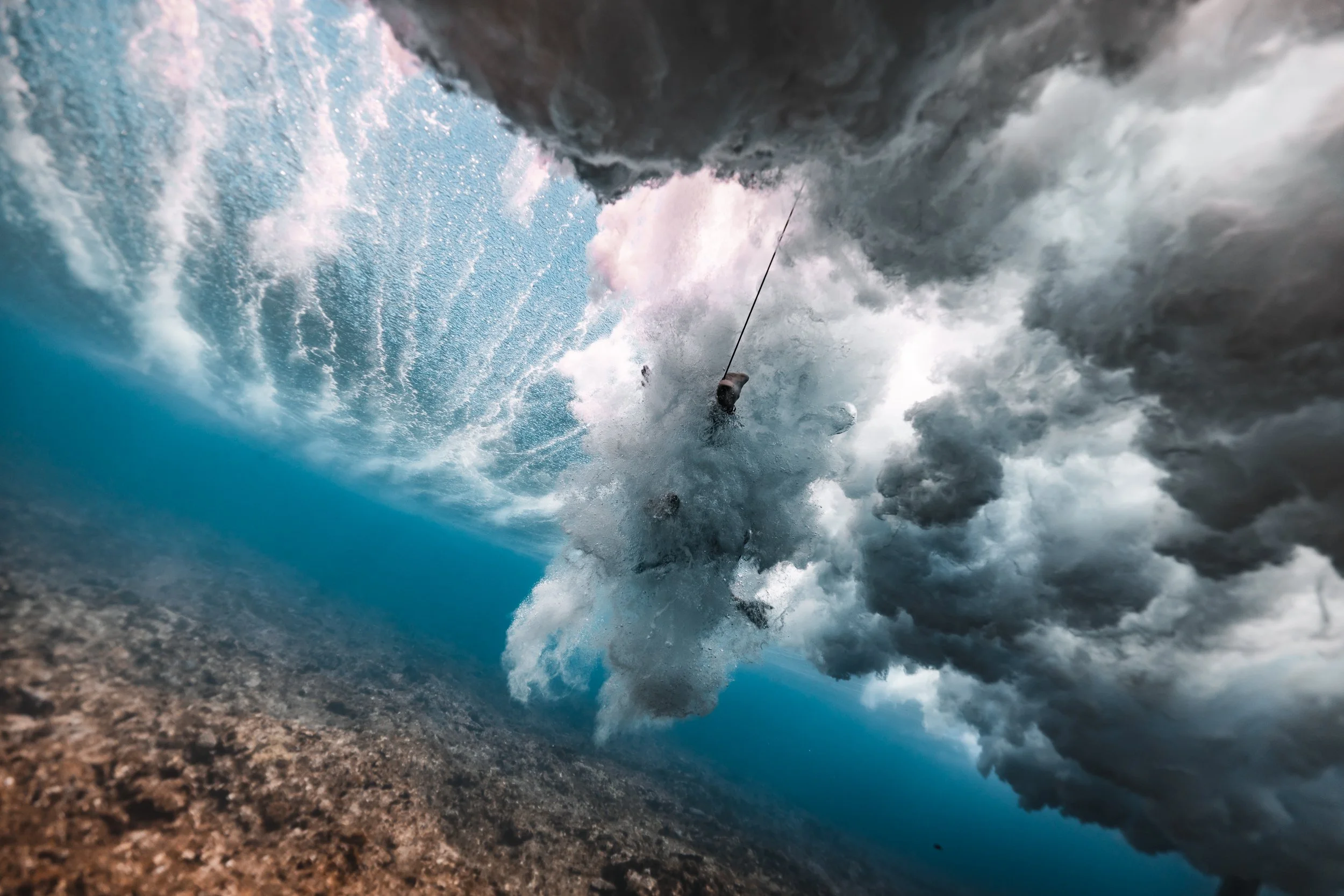 SHARK EYES-RYAN CHATFIELD-E_106364.jpg