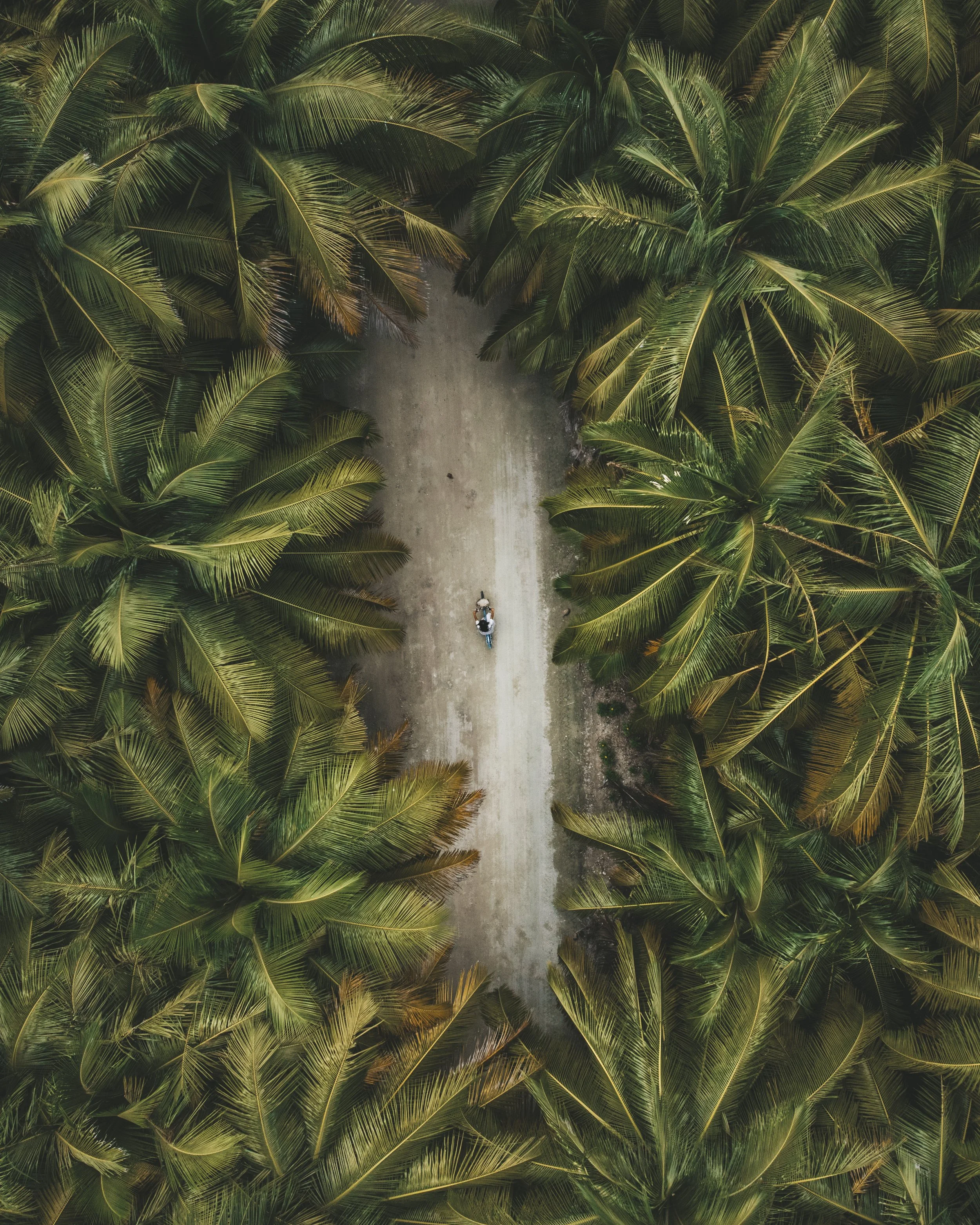 COCOS2025_COMMOTION MEDIA_DJI_0285.jpg