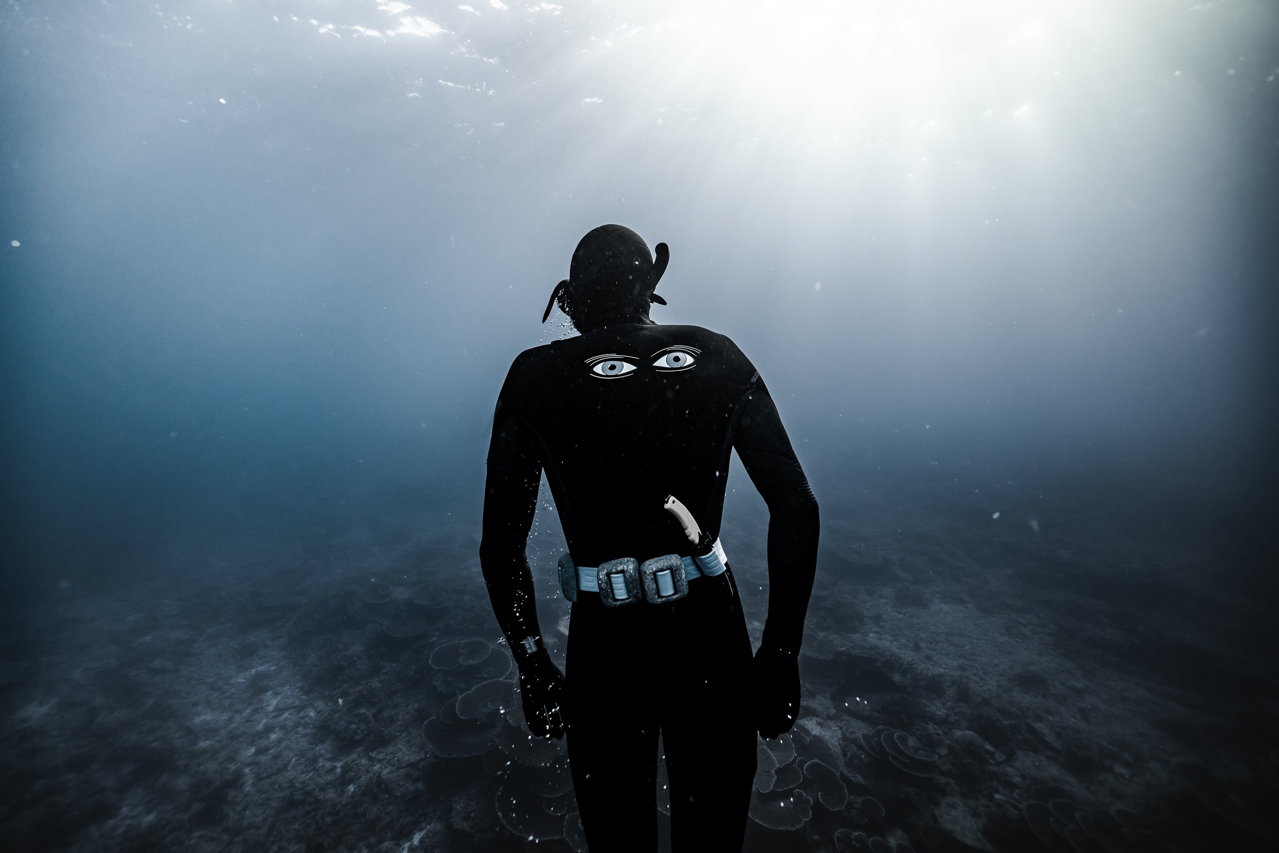 SHARK EYES-RYAN CHATFIELD-E_105717.jpg