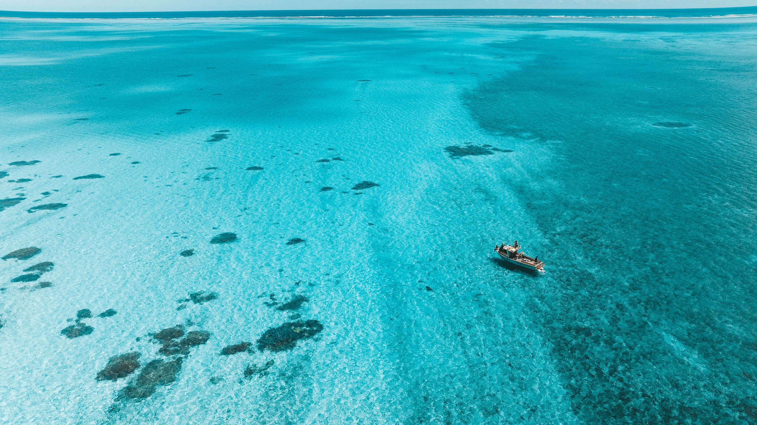 SHARK EYES-RYAN CHATFIELD-DJI_20251026130929_0003_D.jpg