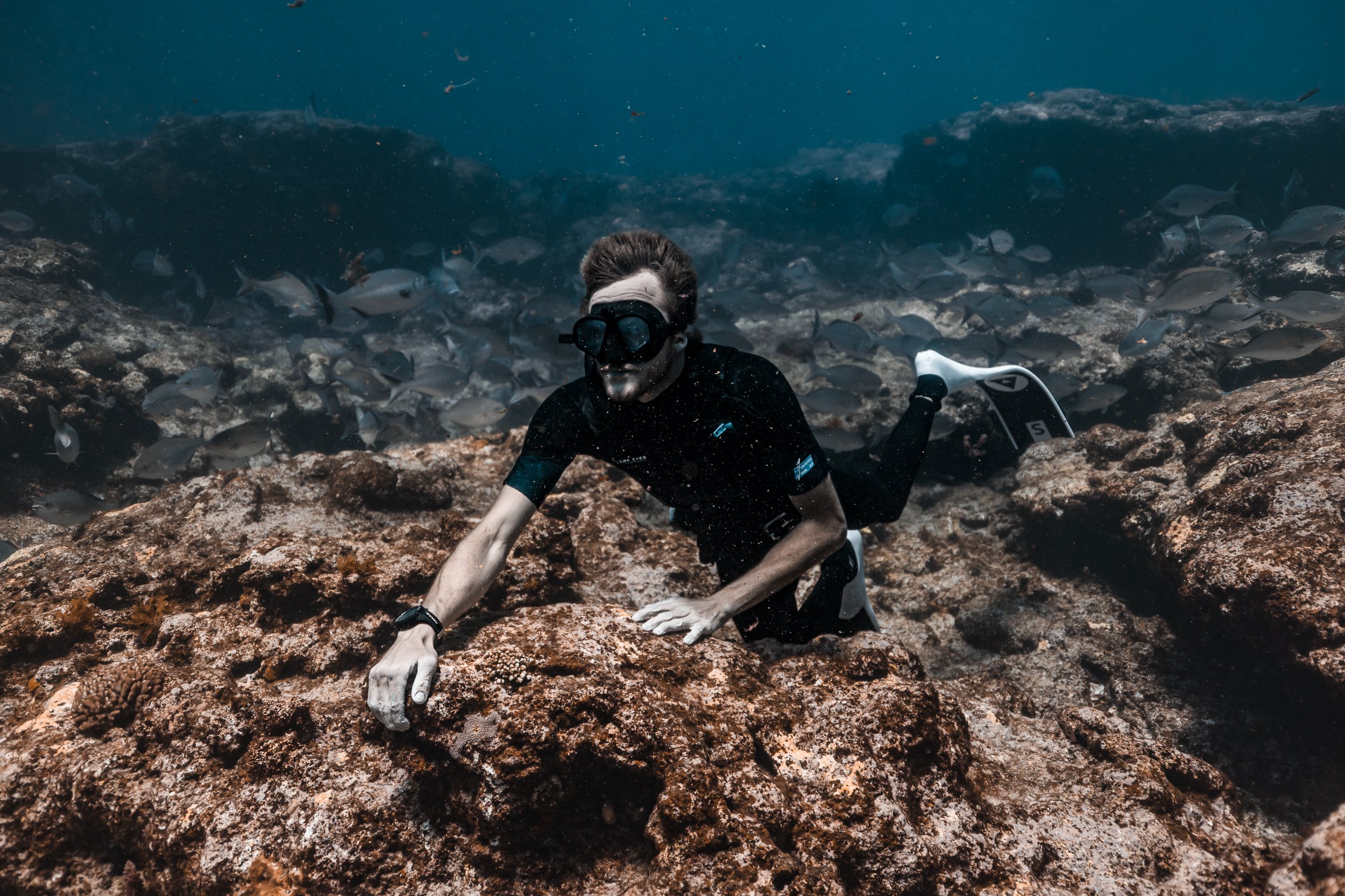 SHARK EYES-RYAN CHATFIELD-E_106497.jpg