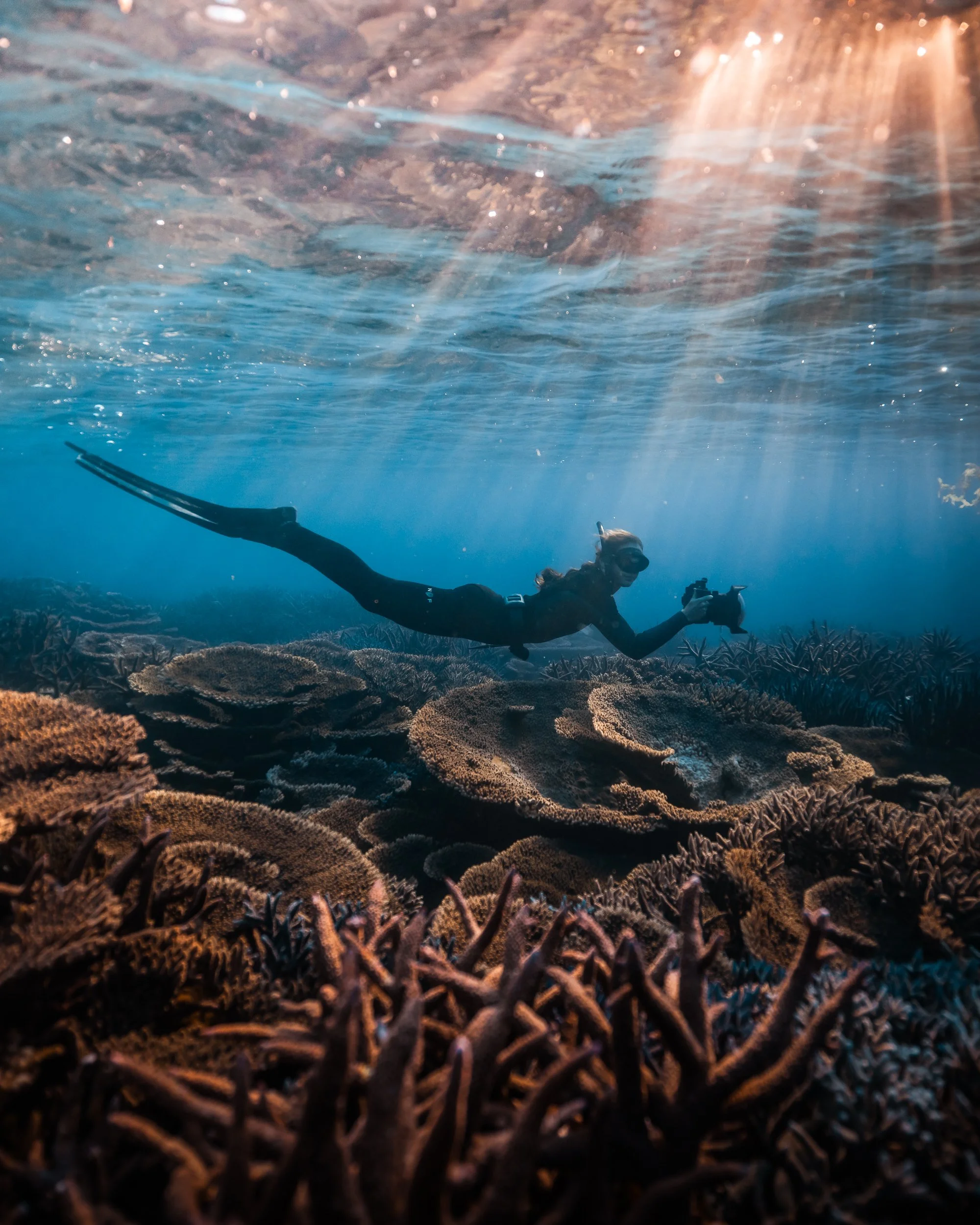 SHARK EYES-RYAN CHATFIELD-E_105790.jpg