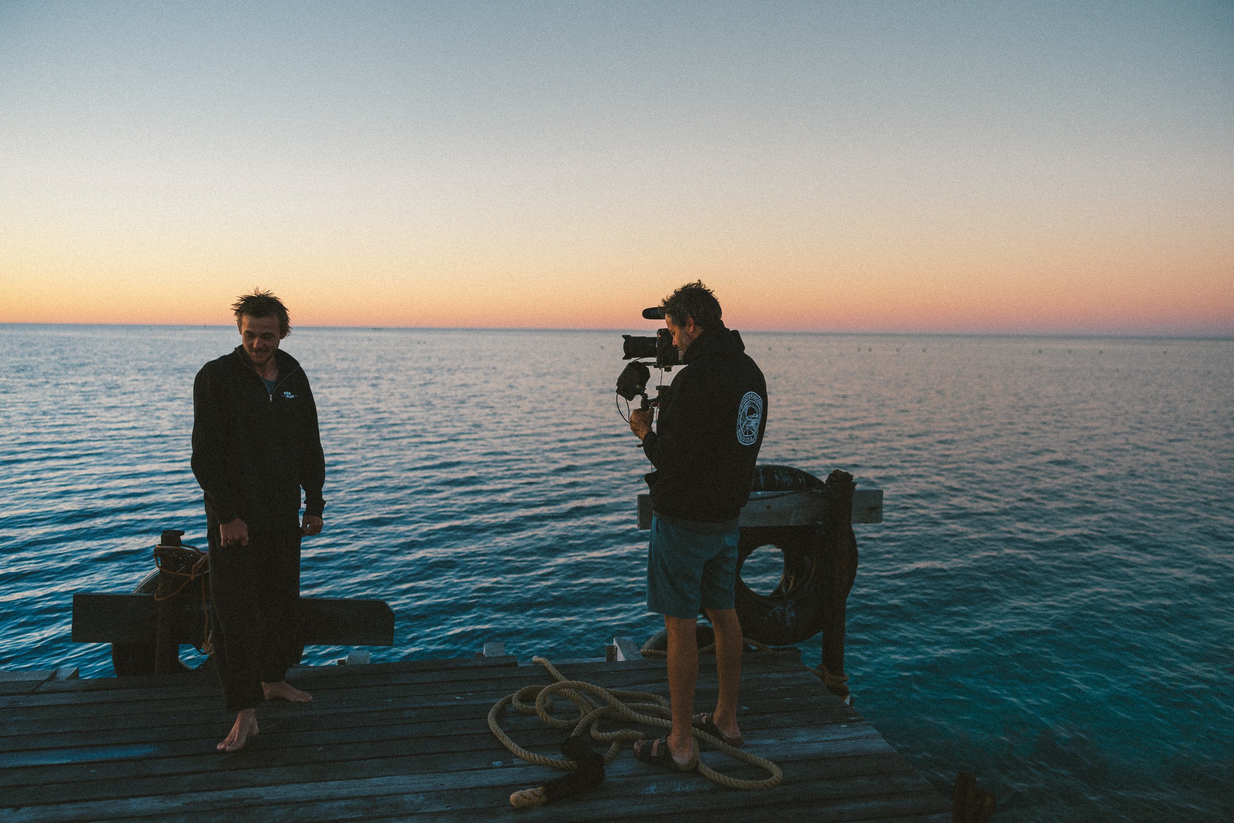 SHARK EYES-RYAN CHATFIELD-COM_5886.jpg