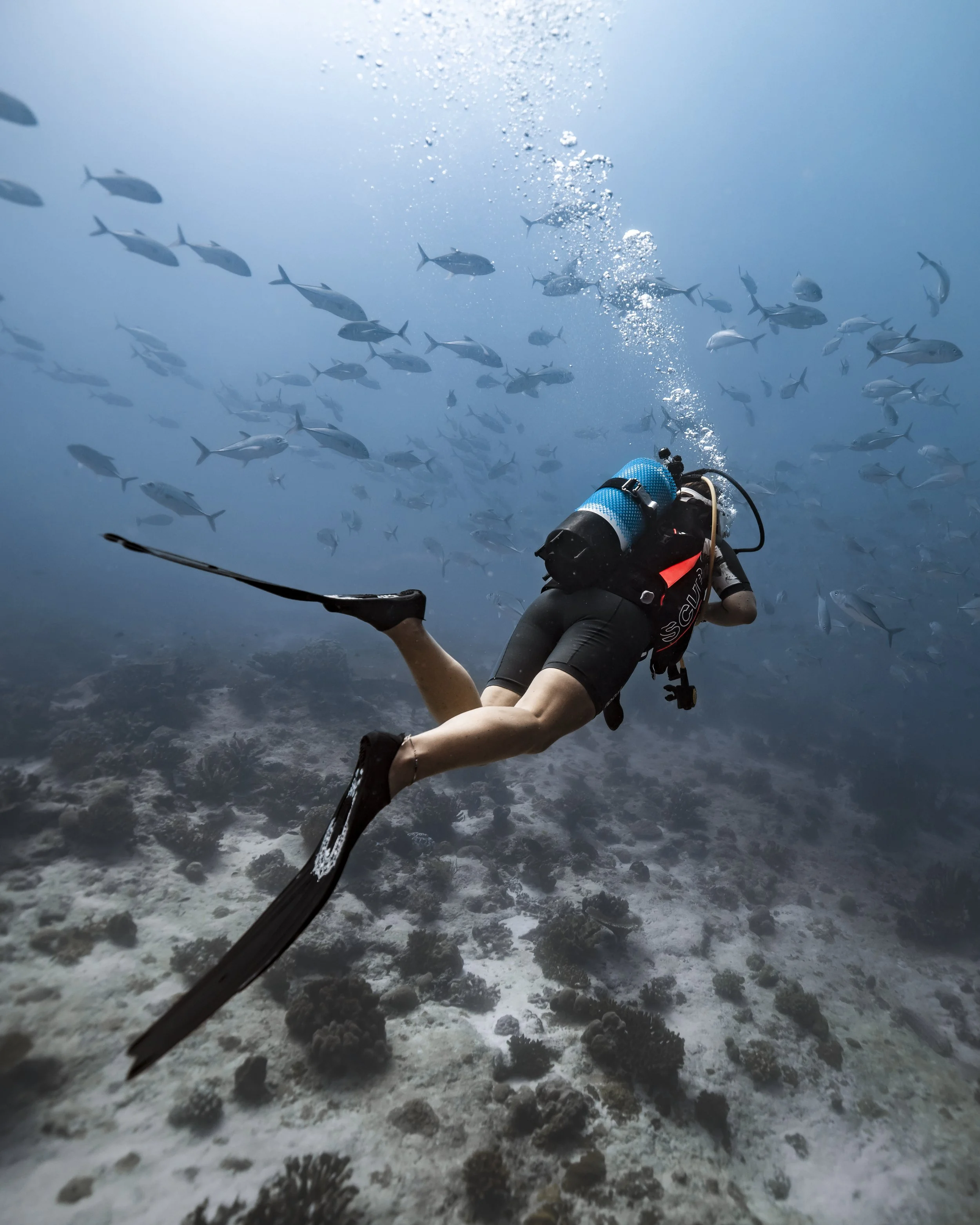 COCOS2025_COMMOTION MEDIA_E_108467.jpg