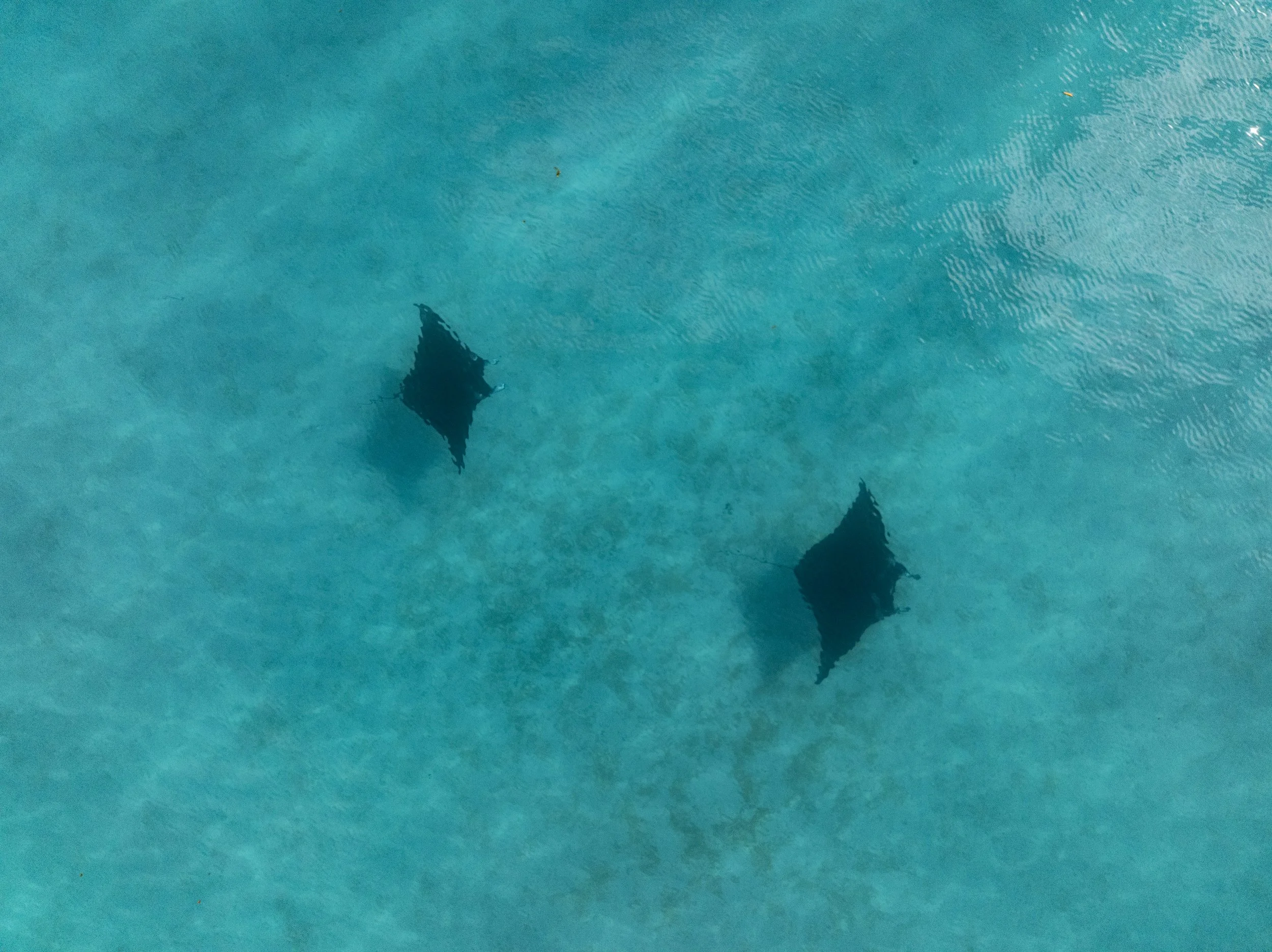 COCOS2025_COMMOTION MEDIA_DJI_0280.jpg