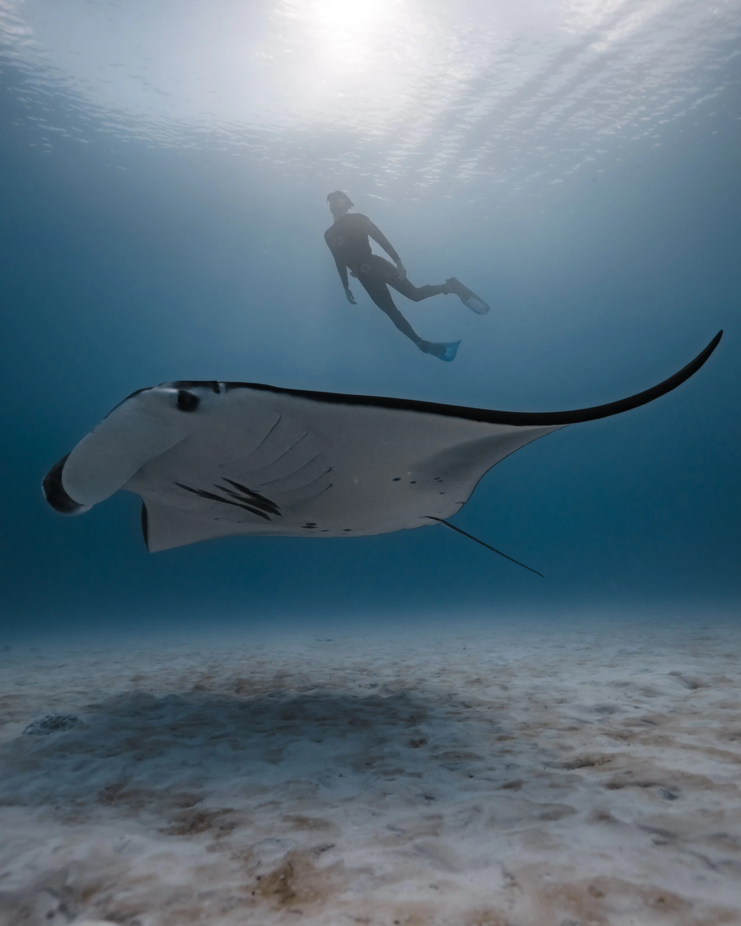 COCOS2025_COMMOTION MEDIA_E_108896.jpg