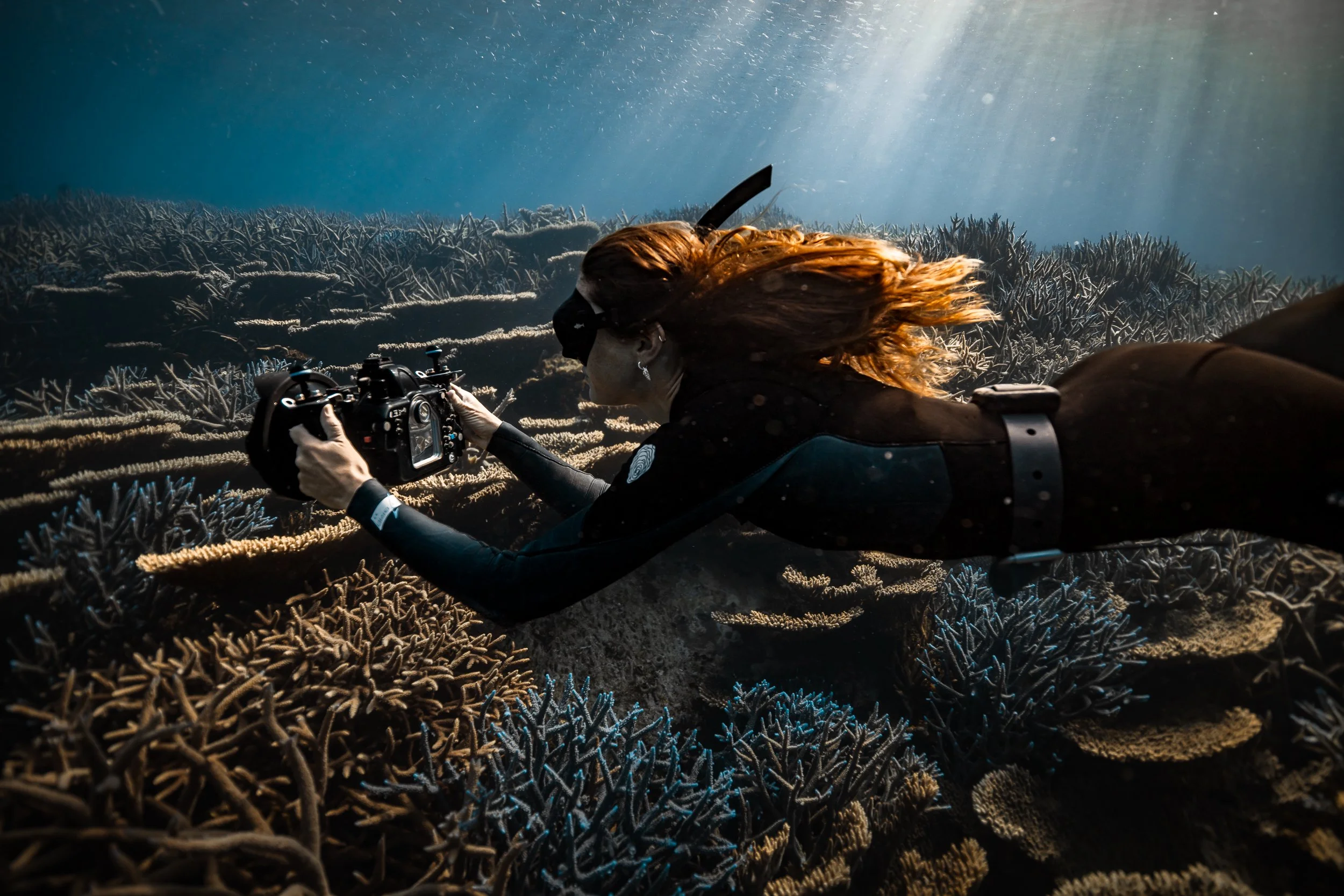 SHARK EYES-RYAN CHATFIELD-E_106792.jpg