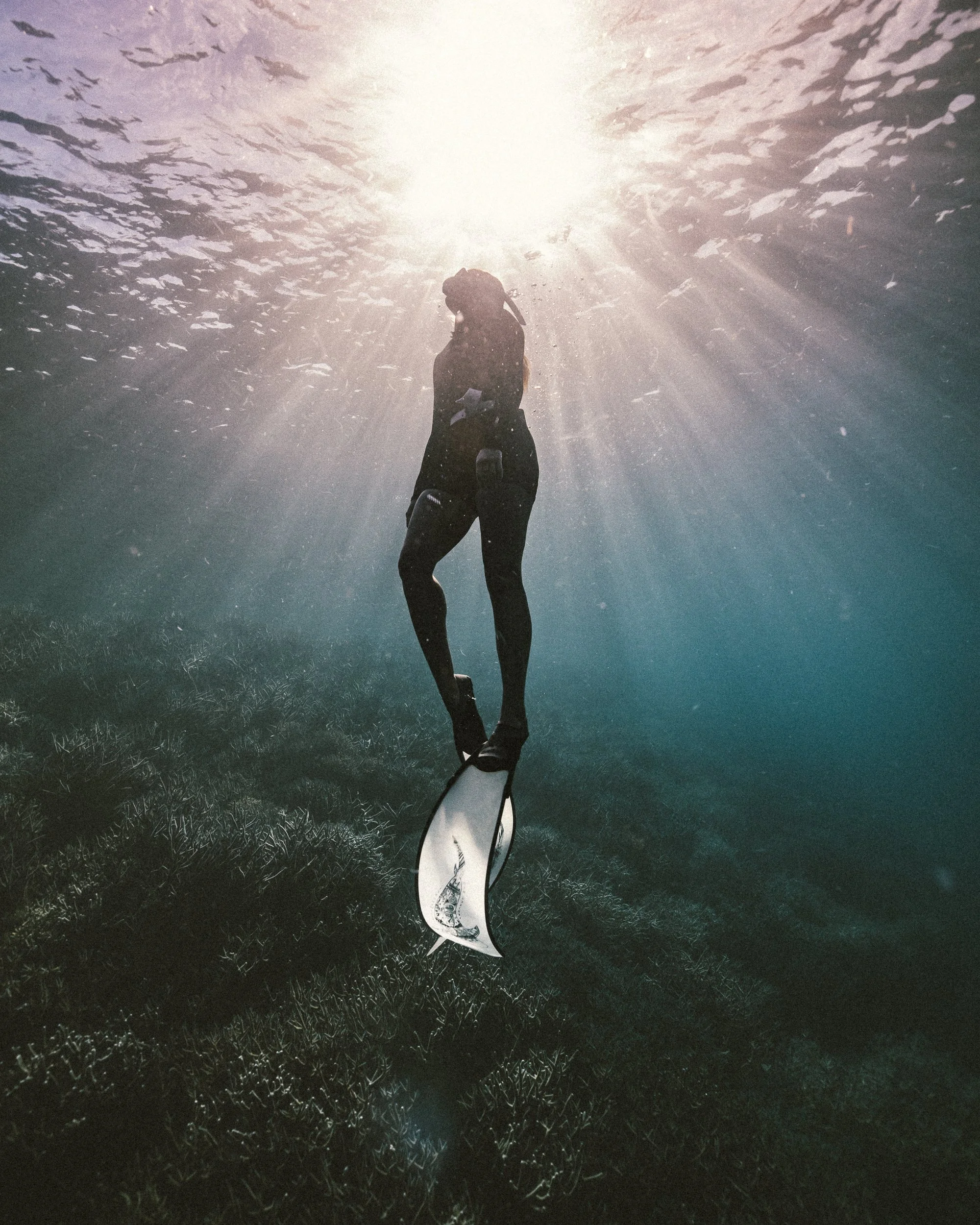 SHARK EYES-RYAN CHATFIELD-E_106666.jpg